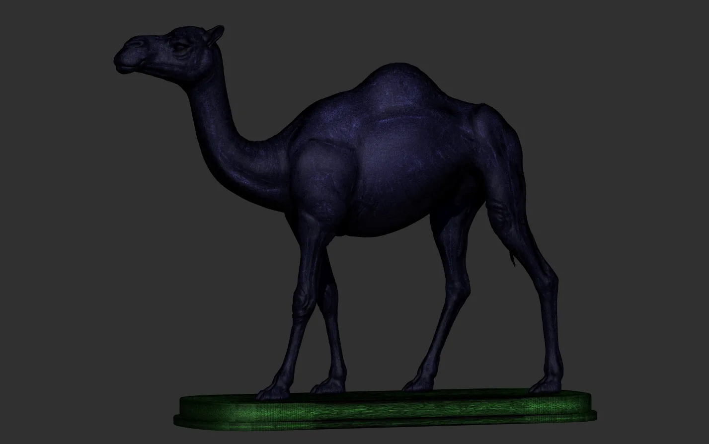 Camel