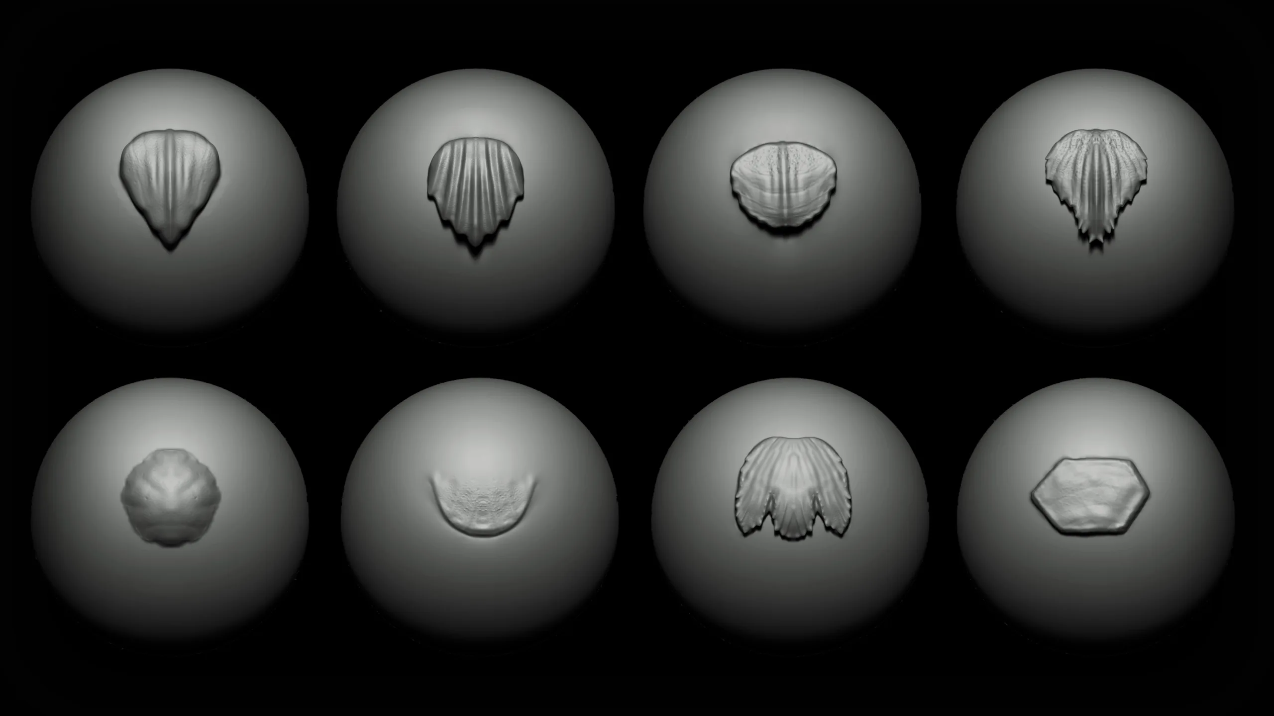 Zbrush + Blender - Sea Creatures VDM Brush