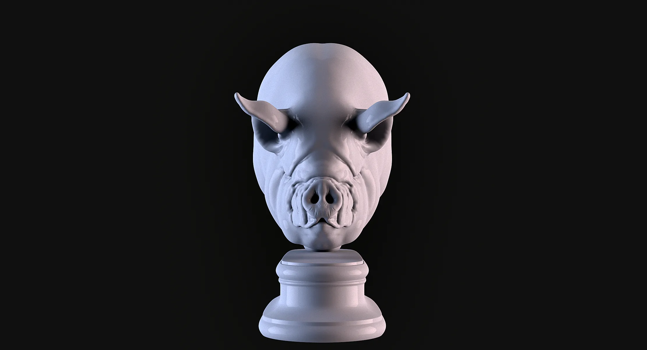 Middle White Pig Head