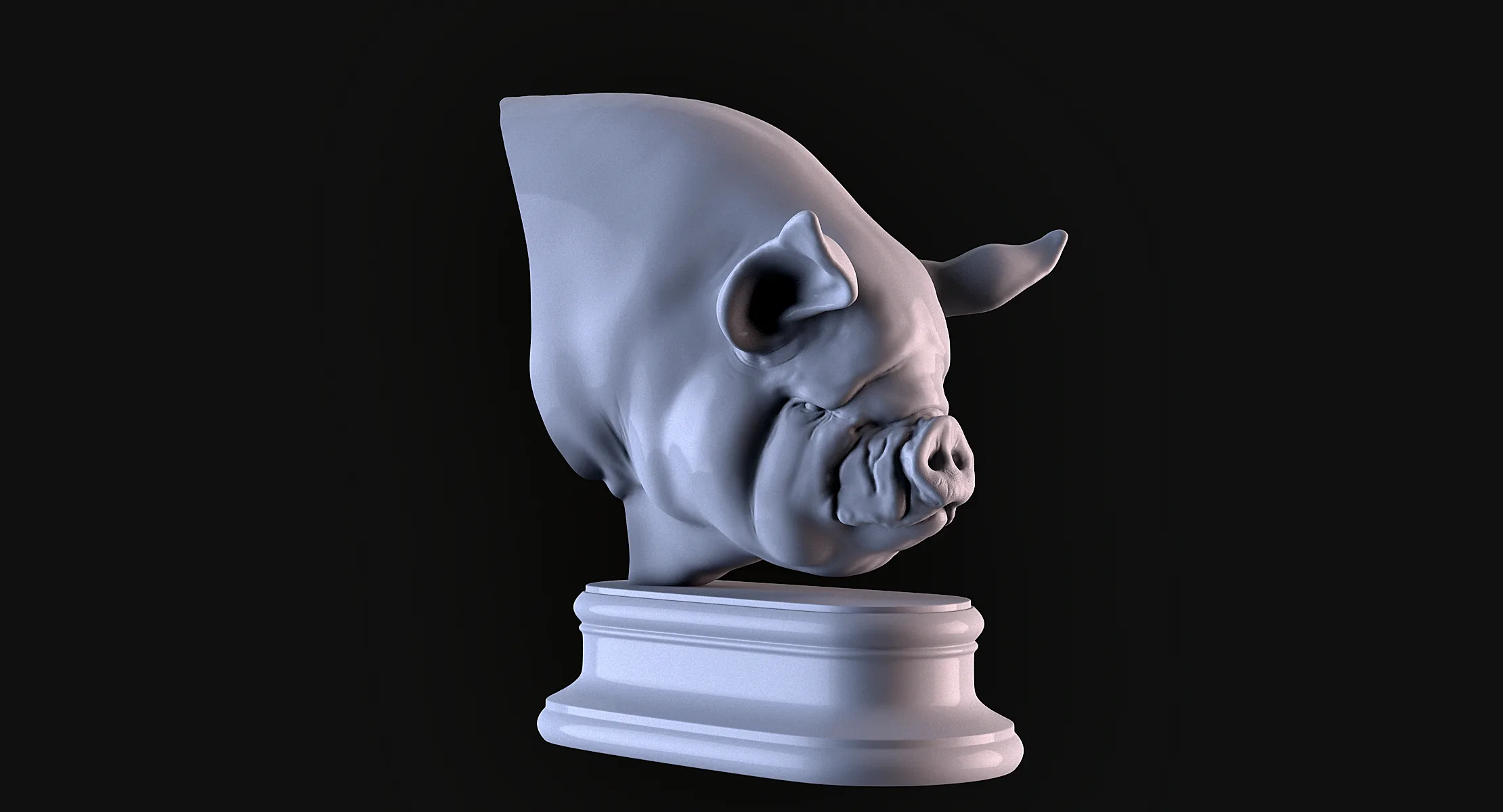 Middle White Pig Head