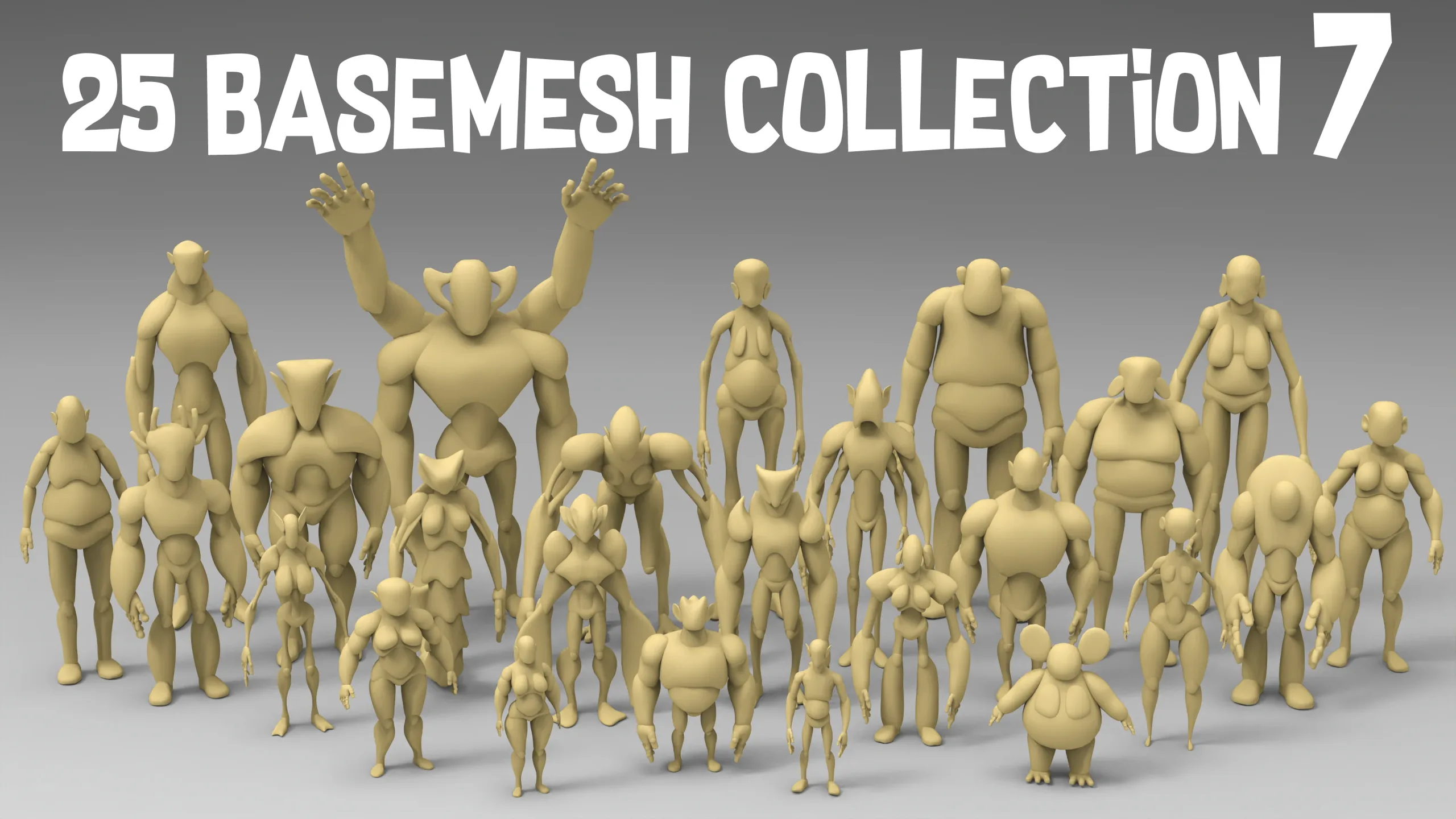 25 Basemesh collection-7