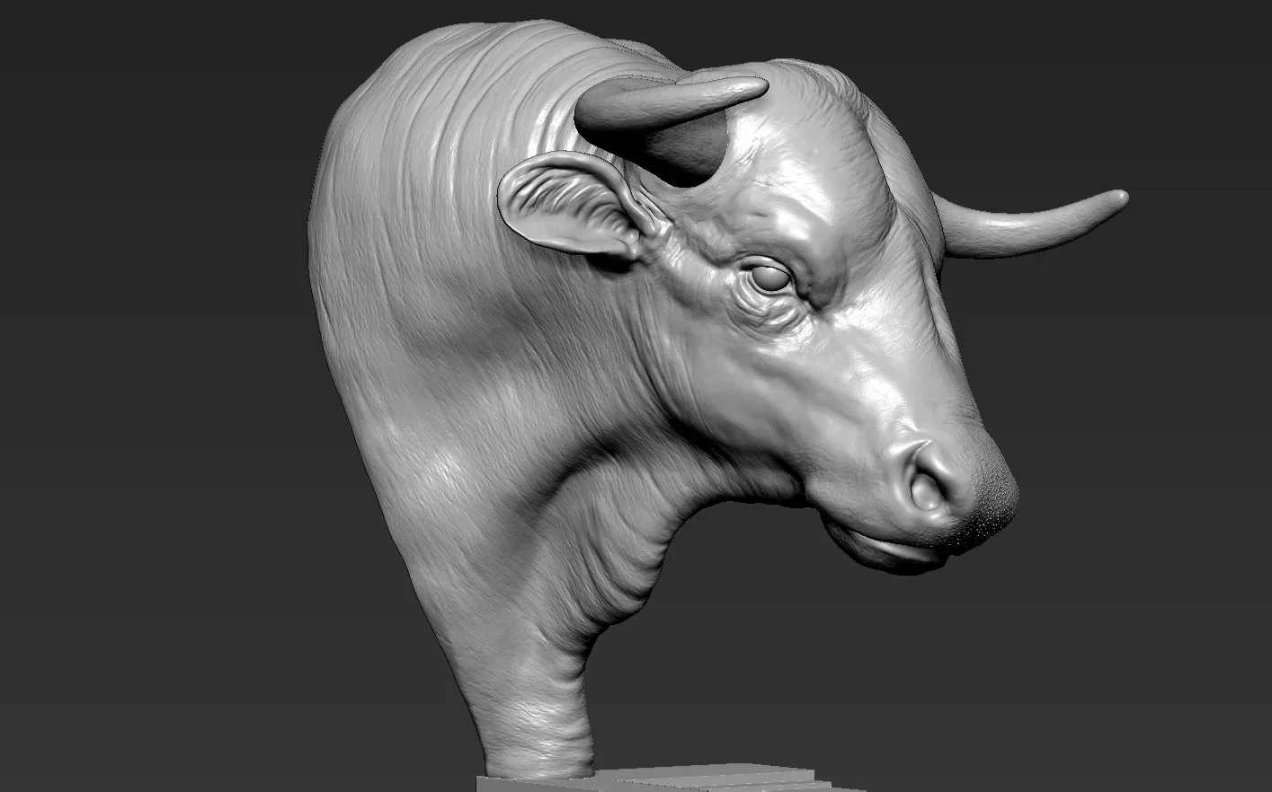 Bull Head