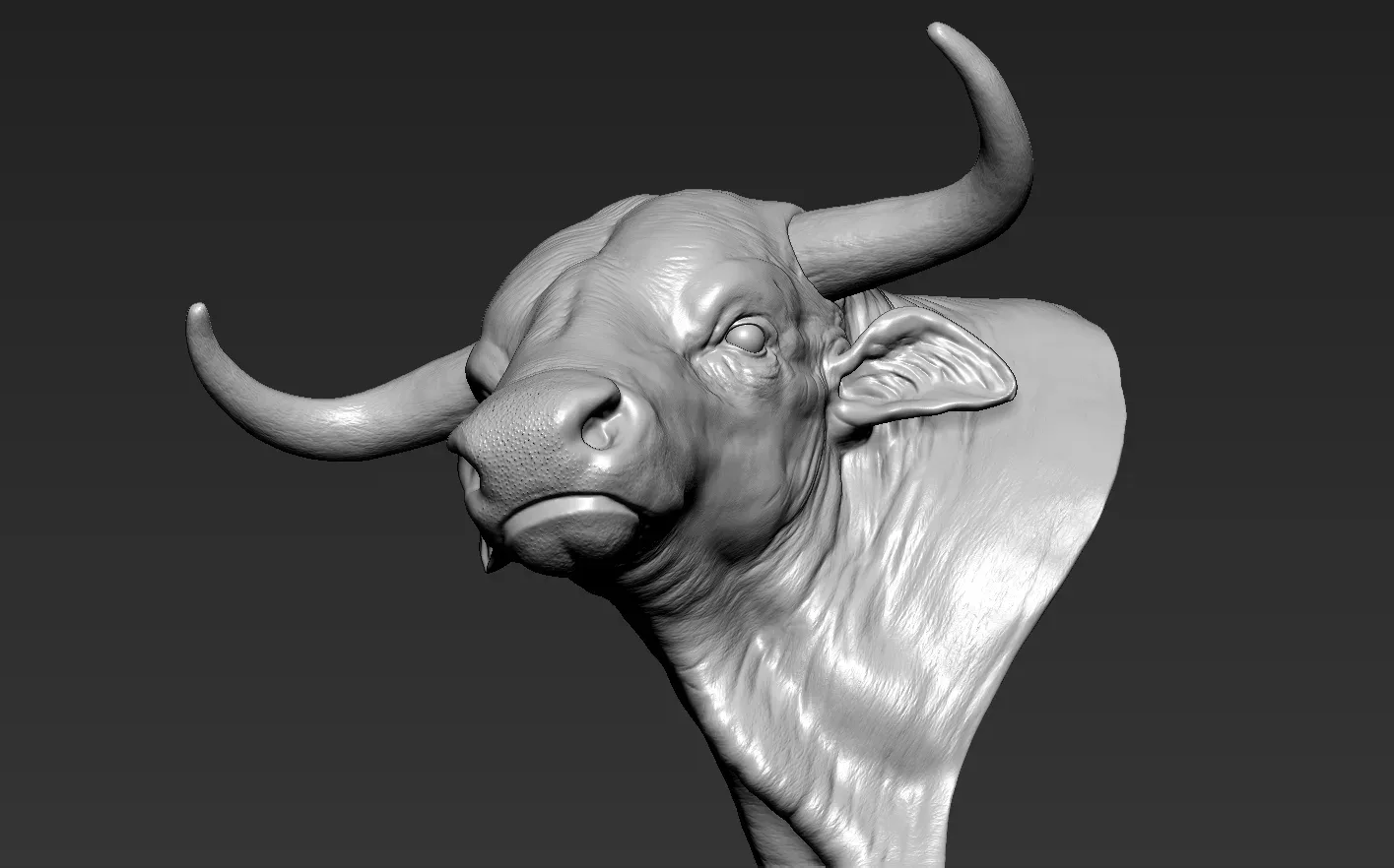 Bull Head