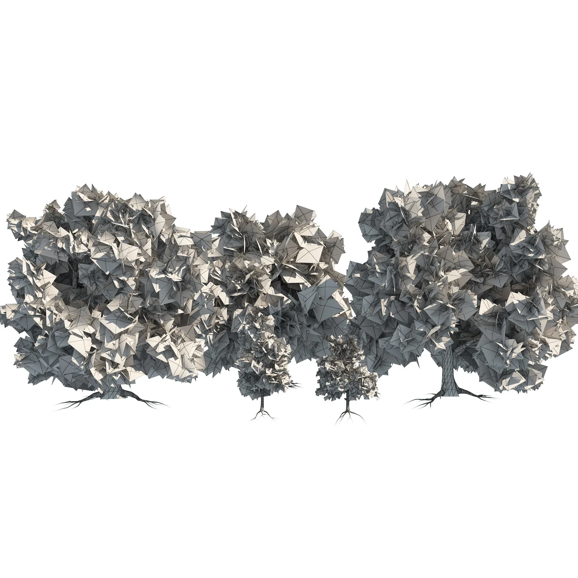 Large and young red maple trees