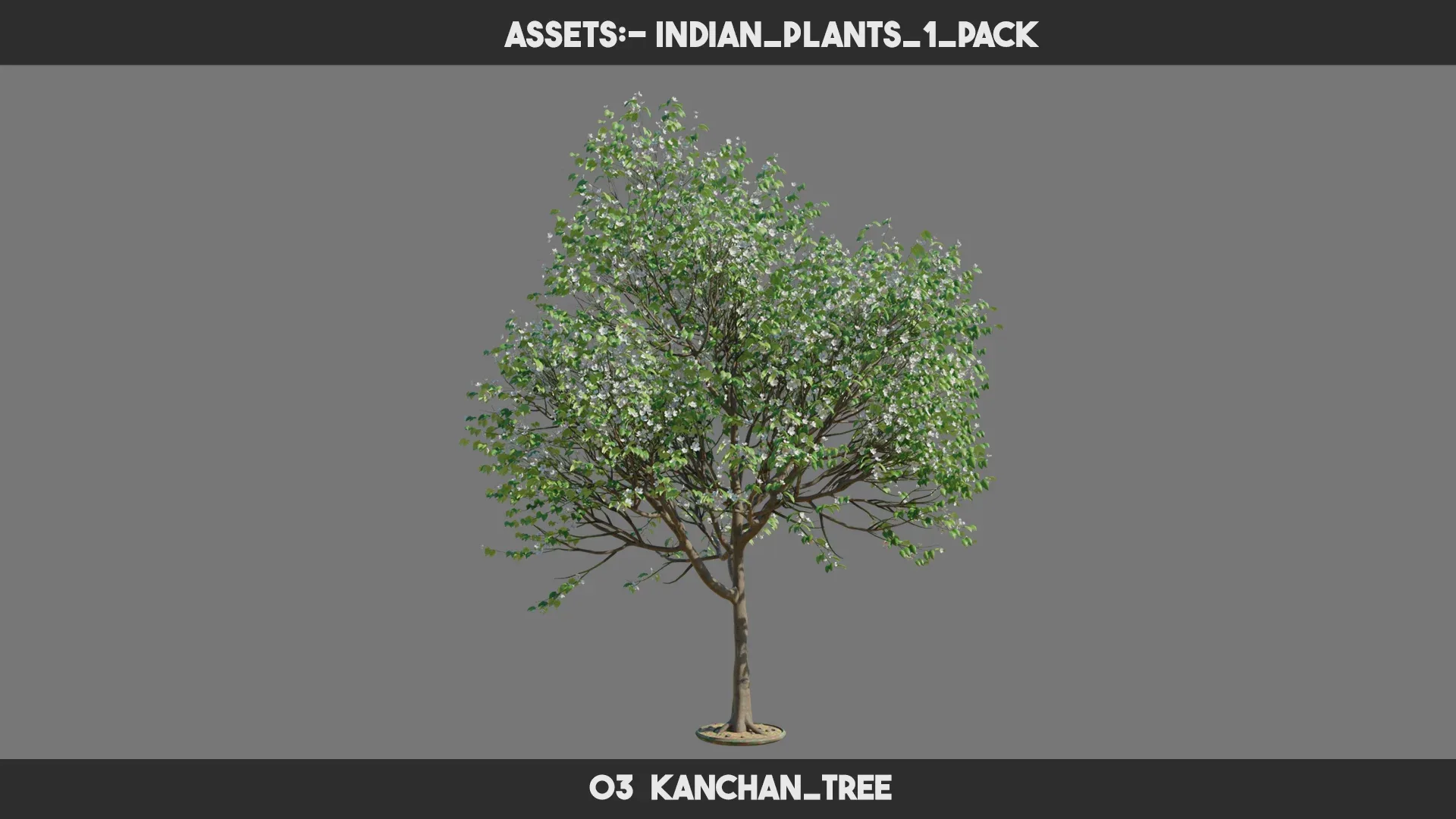 Indian Plants 1 PACK