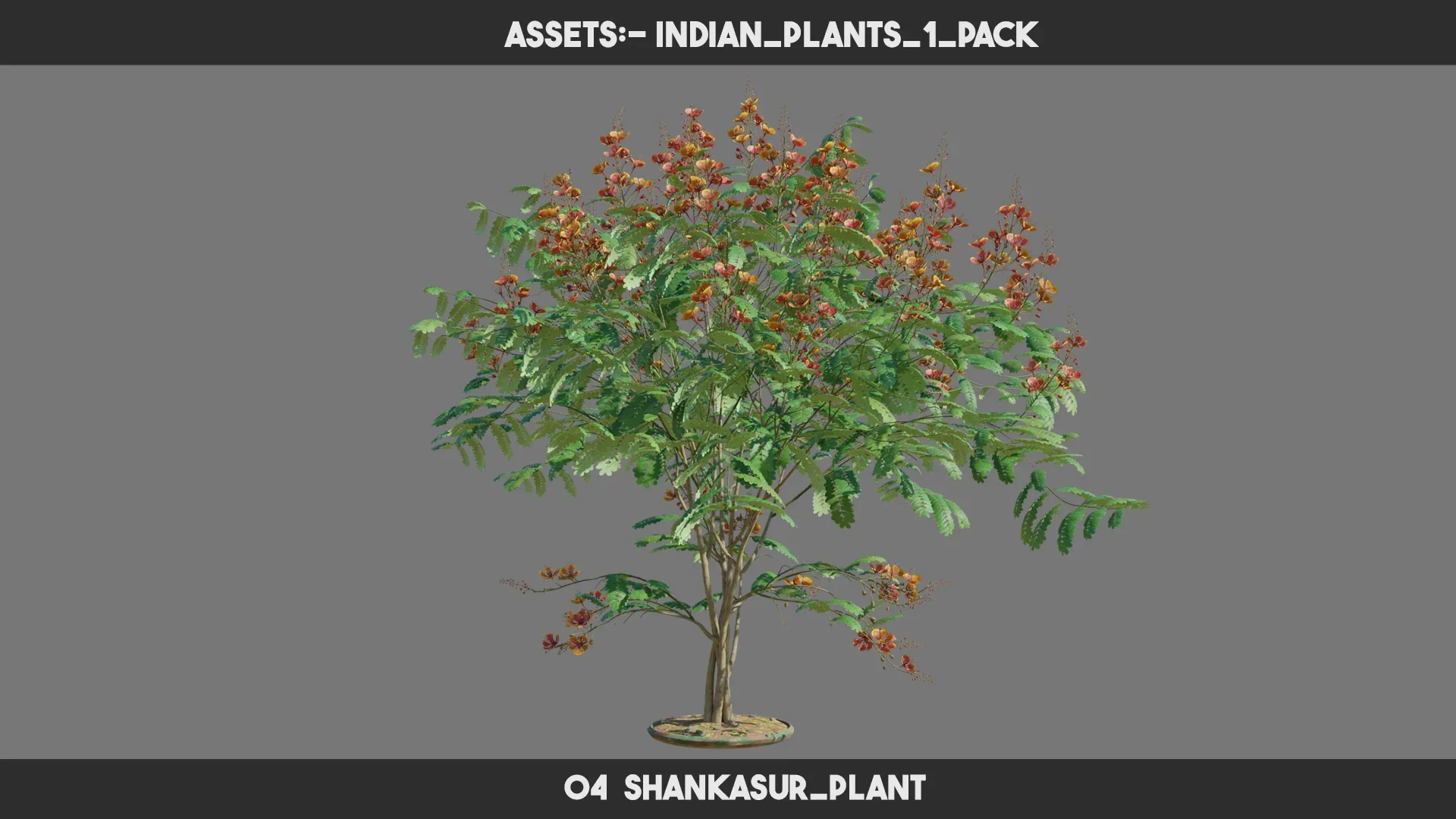 Indian Plants 1 PACK