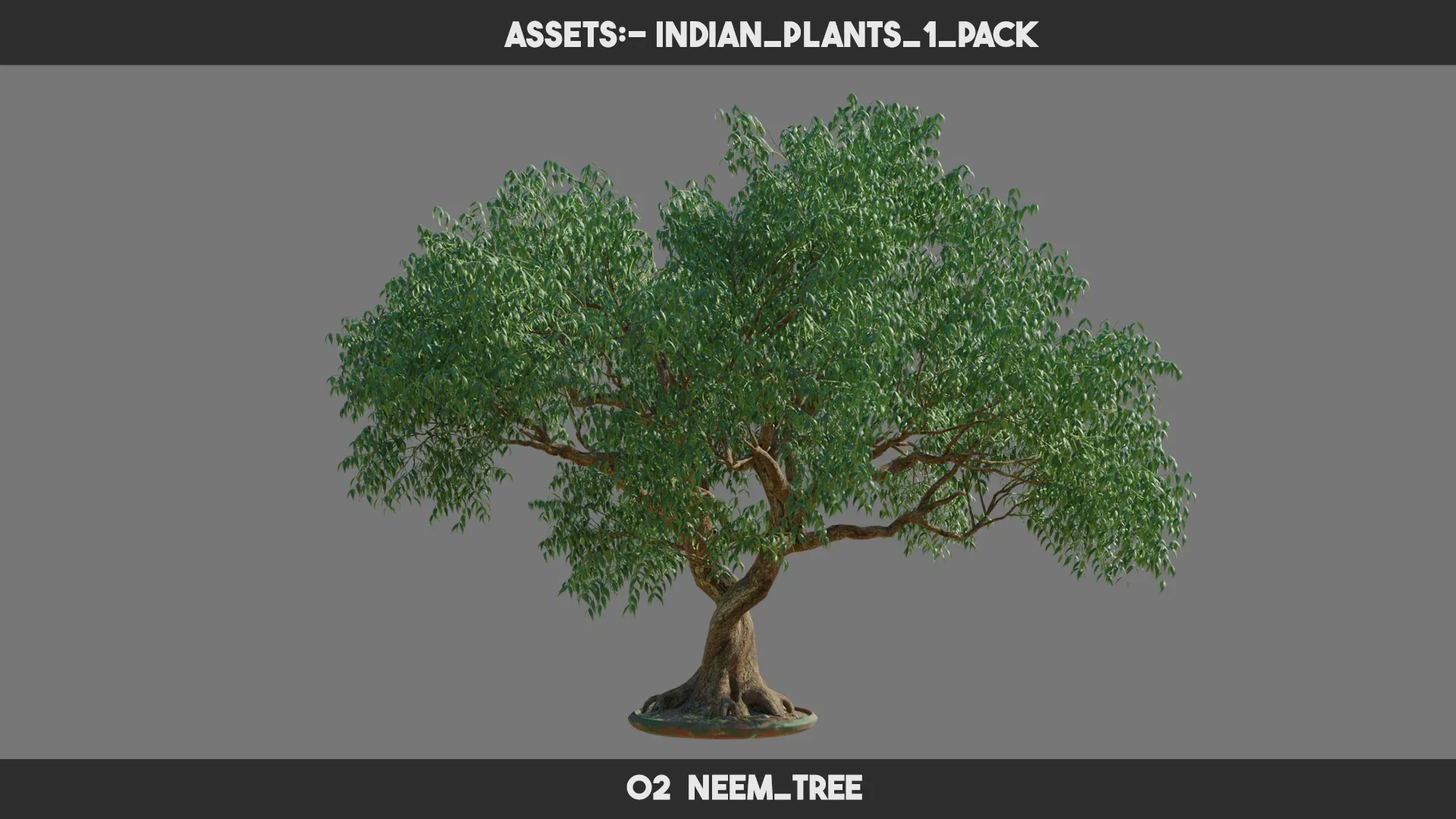 Indian Plants 1 PACK