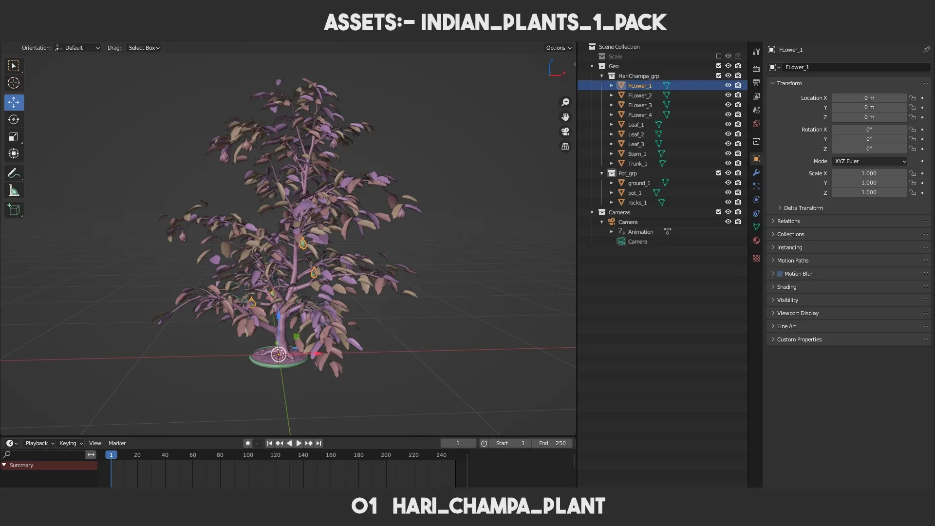 Indian Plants 1 PACK