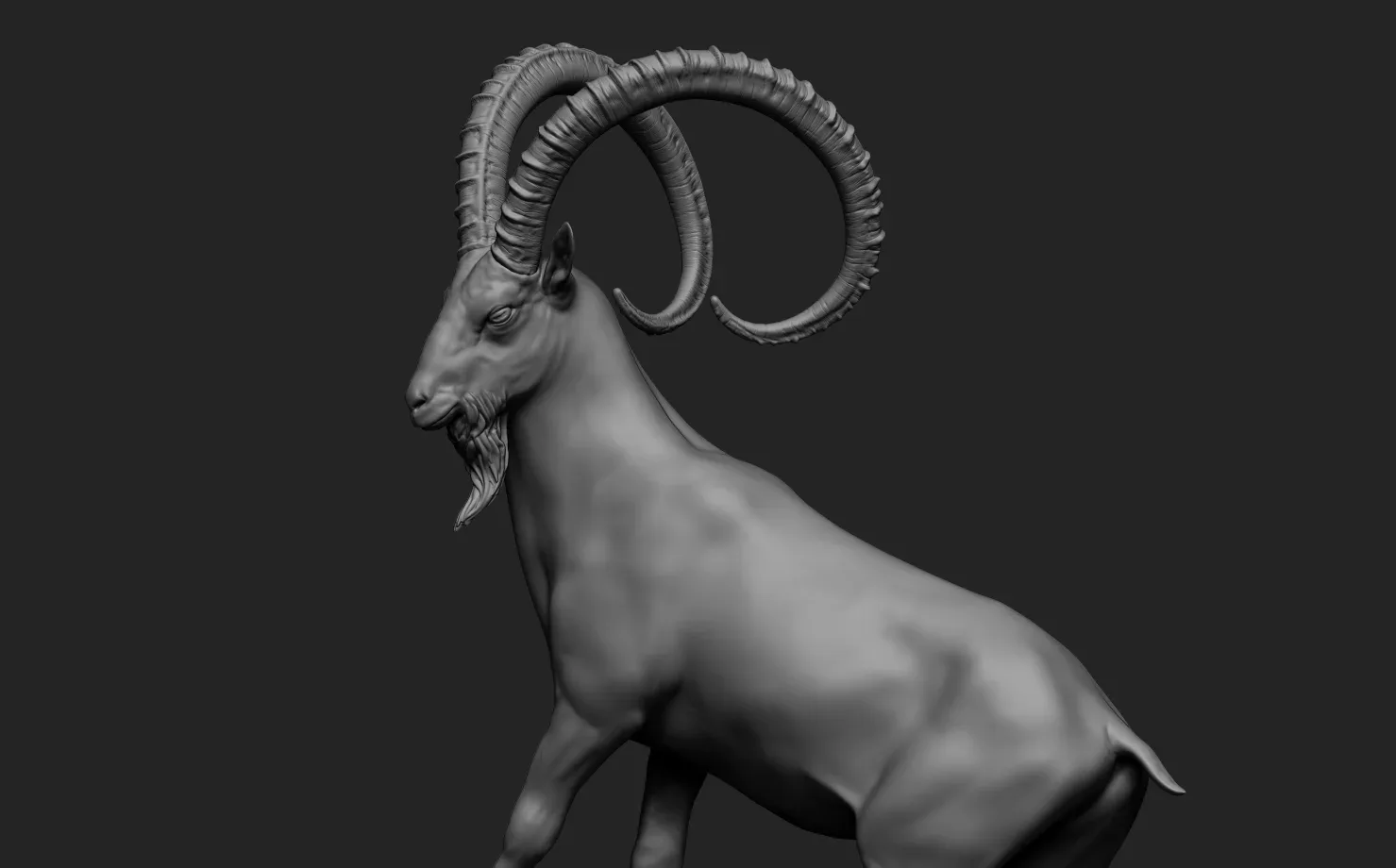 Ibex