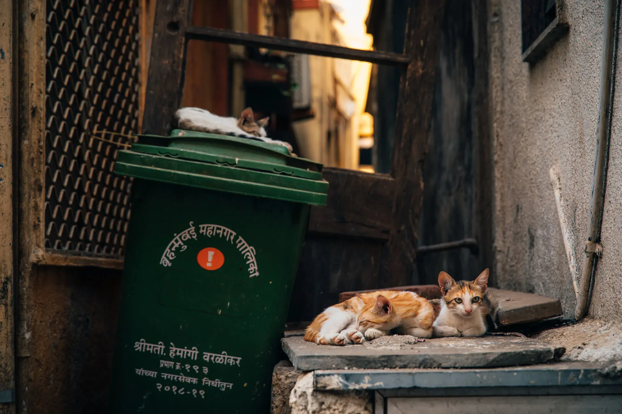 280+ Mumbai's Slums Reference Pictures