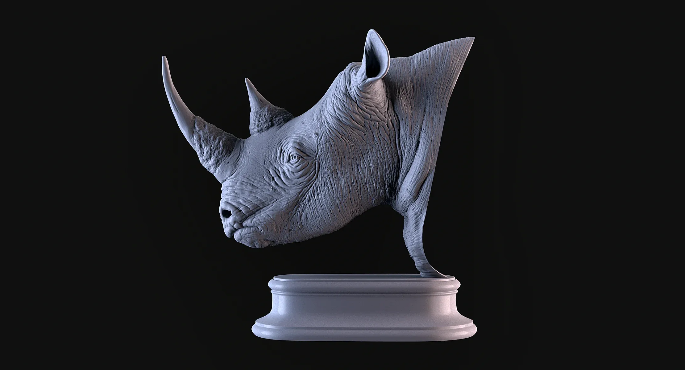 Rhino Head