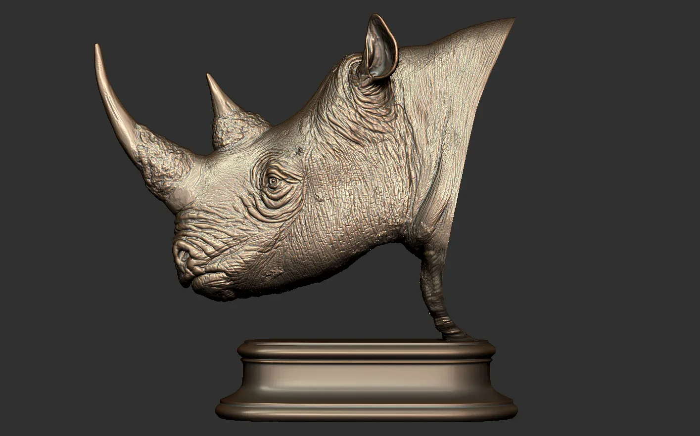 Rhino Head