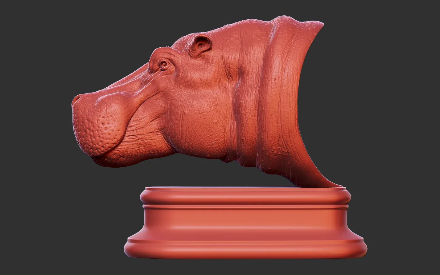 Hippopotamus Head