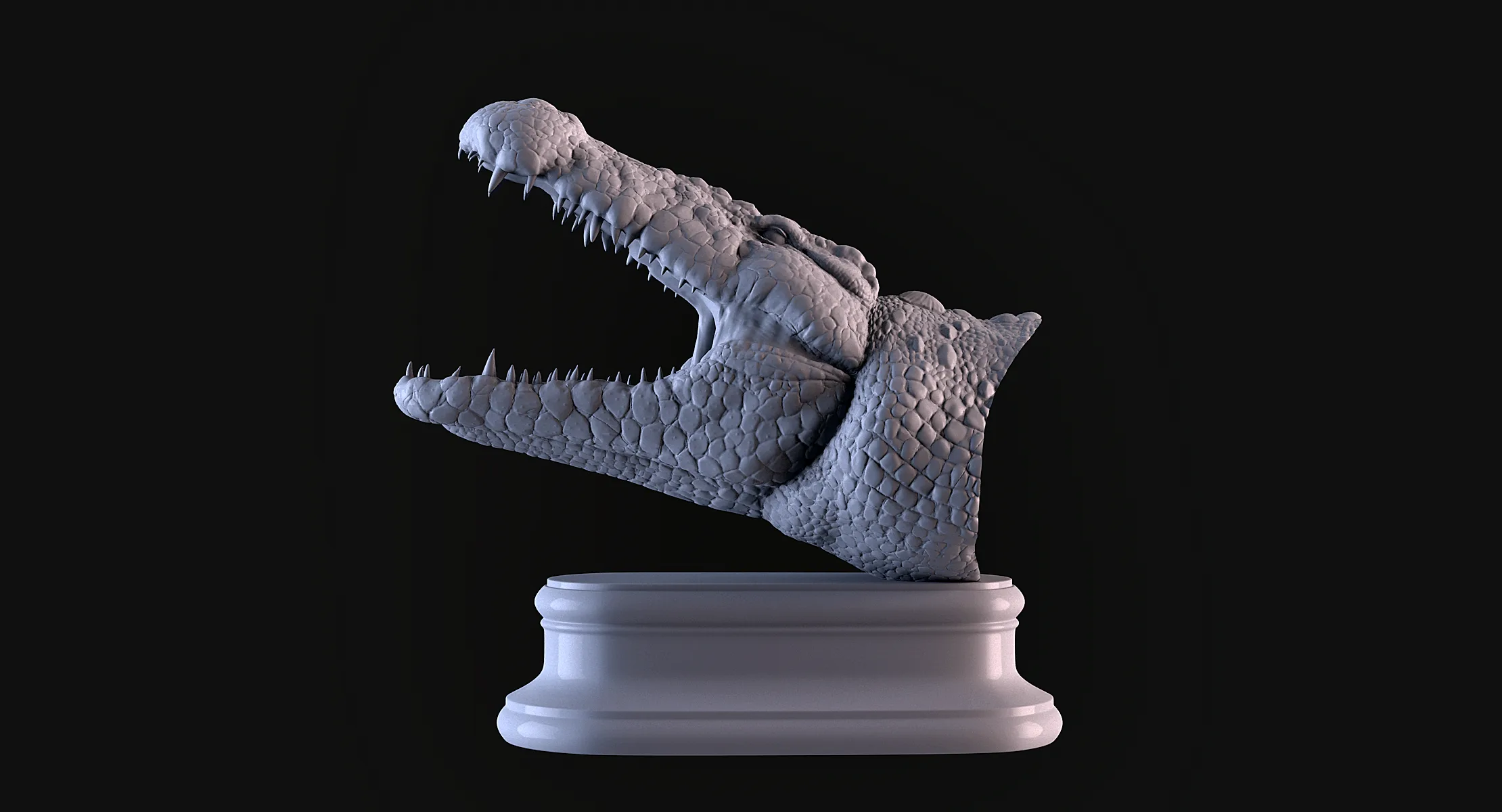 Crocodile Head