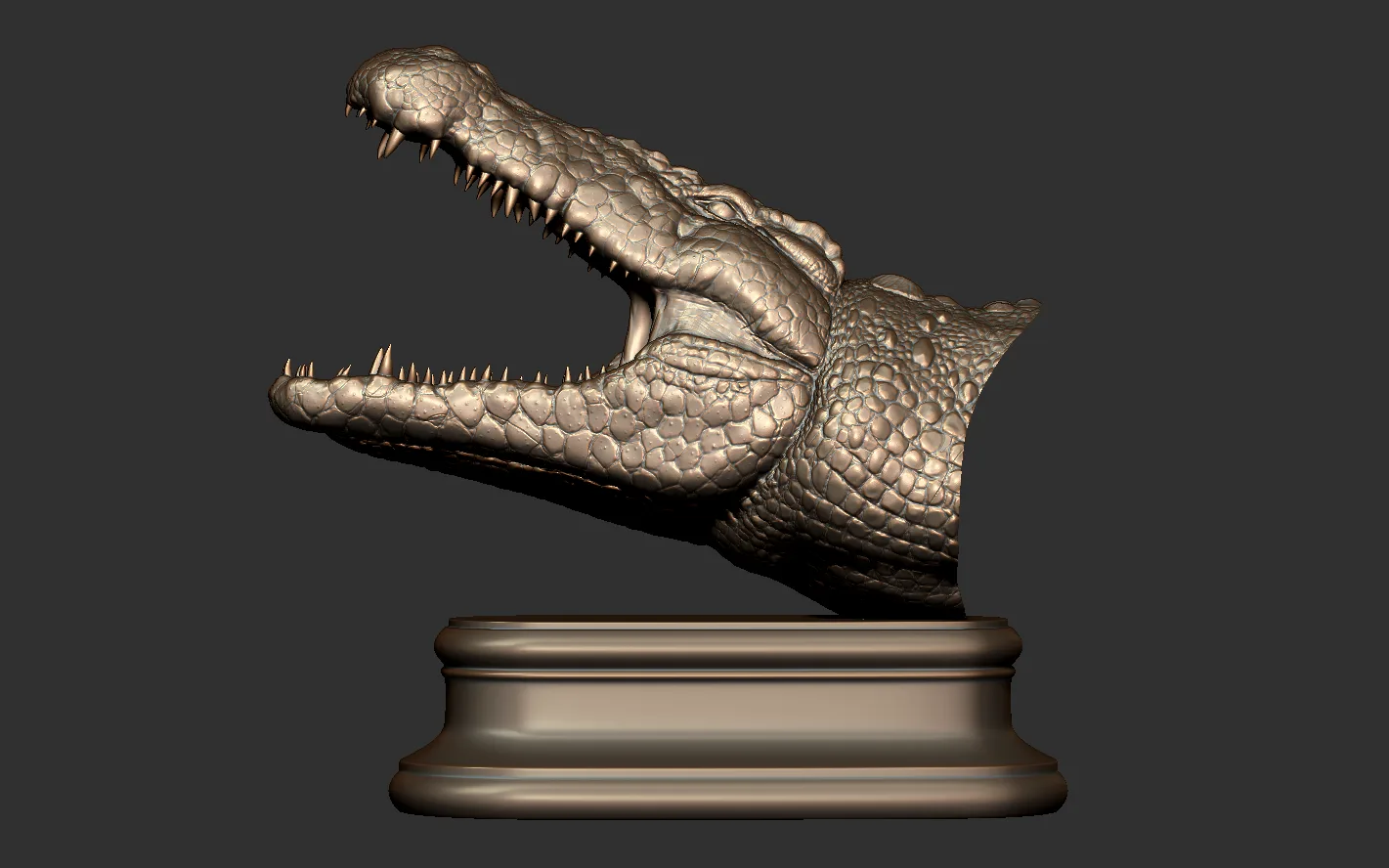 Crocodile Head