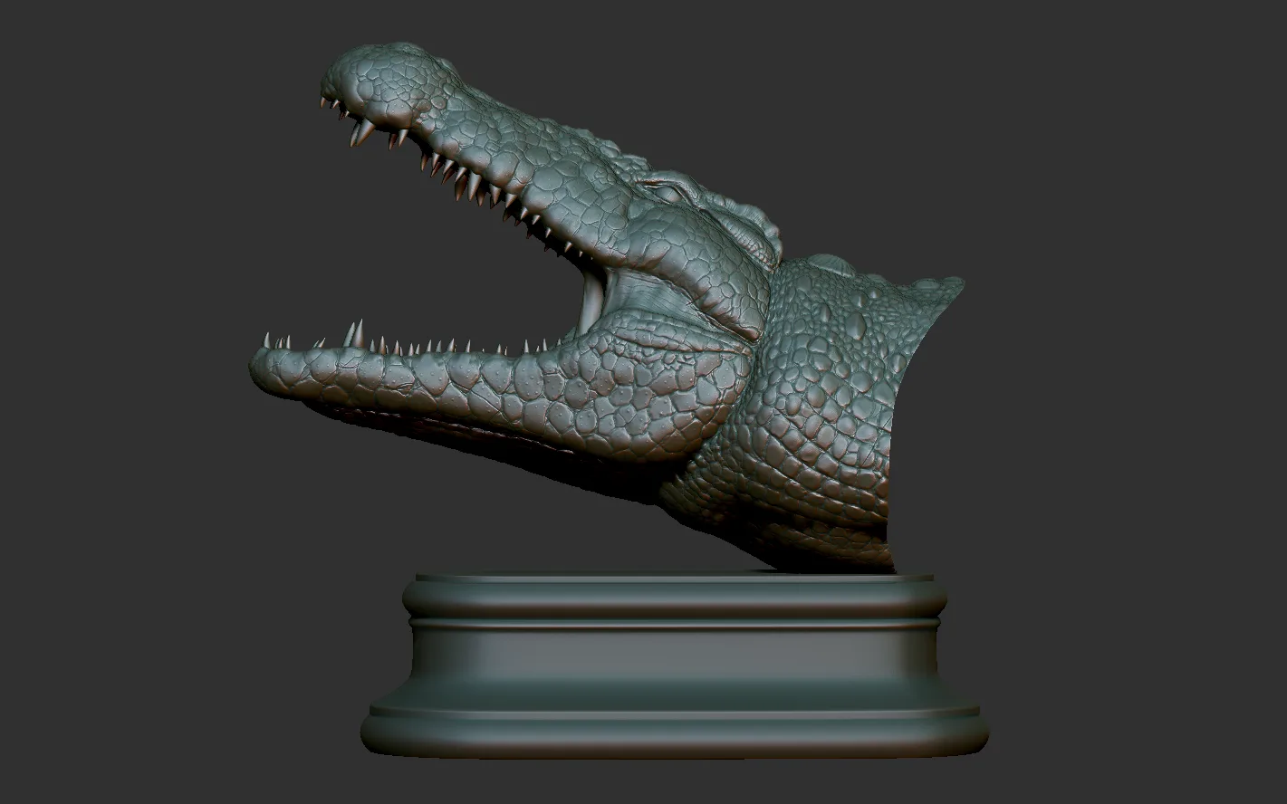 Crocodile Head