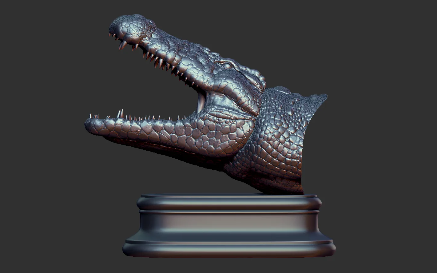 Crocodile Head