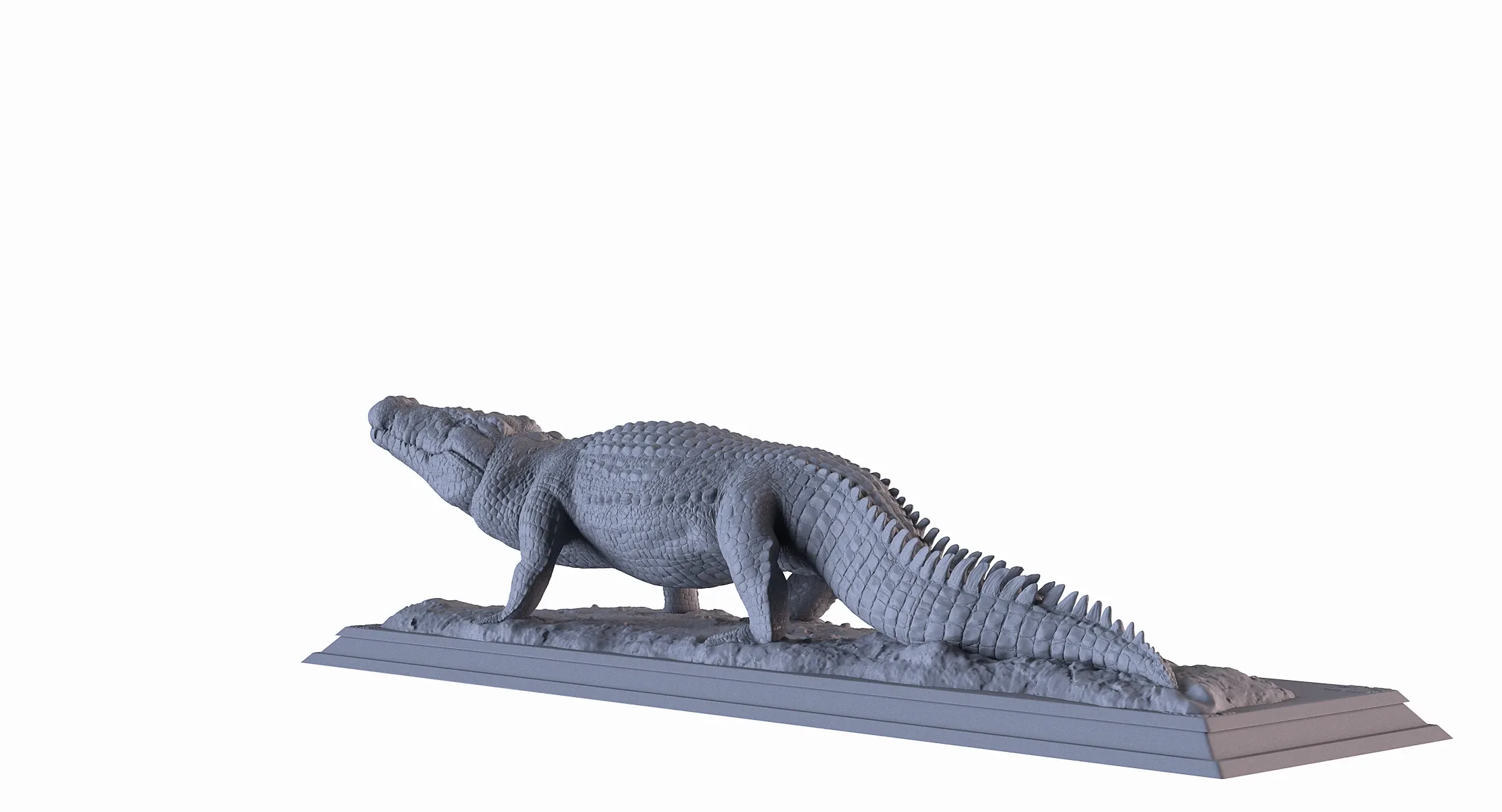 Crocodile