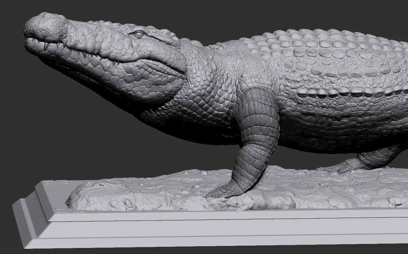 Crocodile