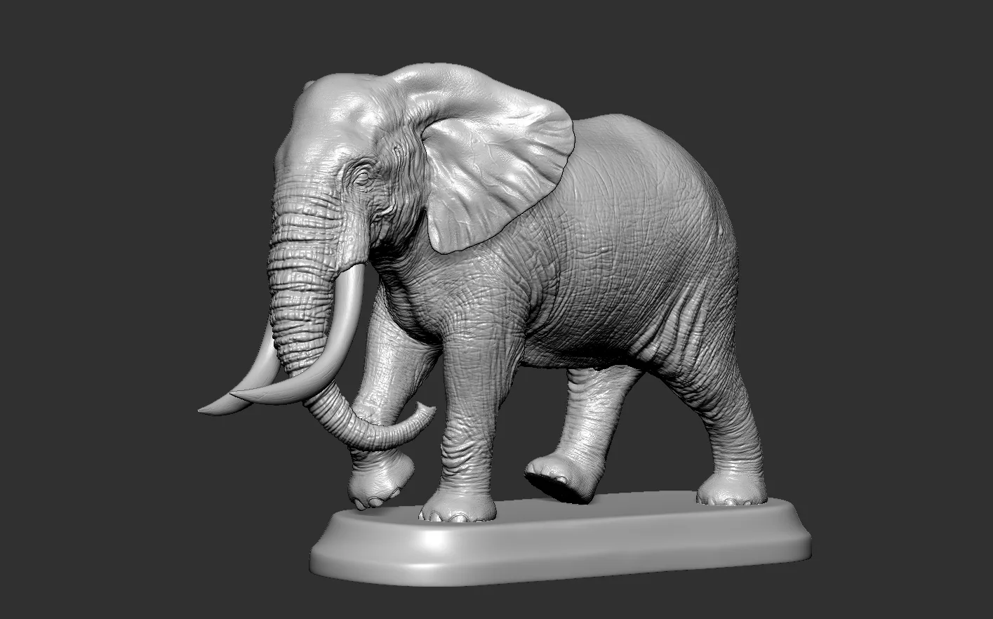 Elephant