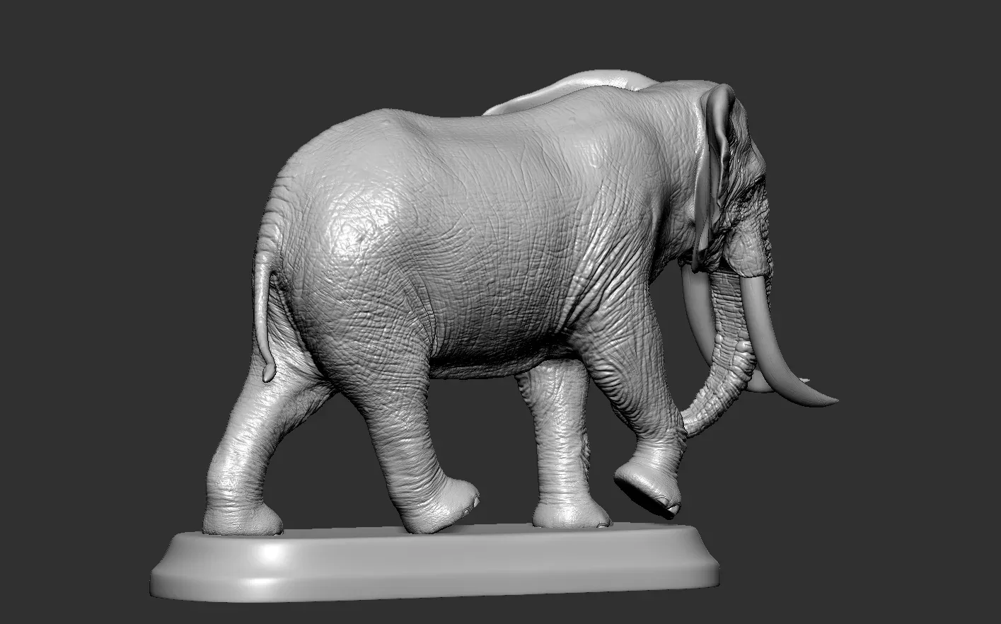 Elephant