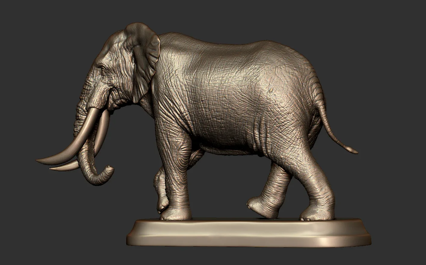 Elephant