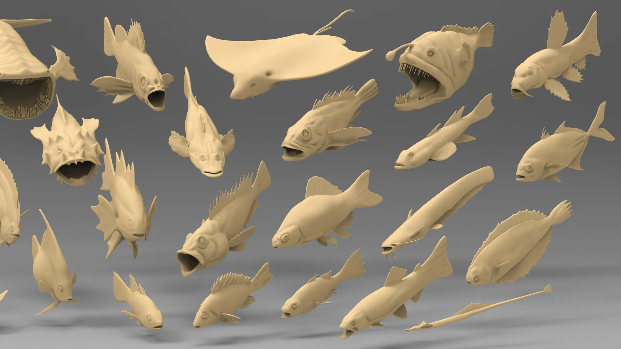 25 Basemesh fish collection 2