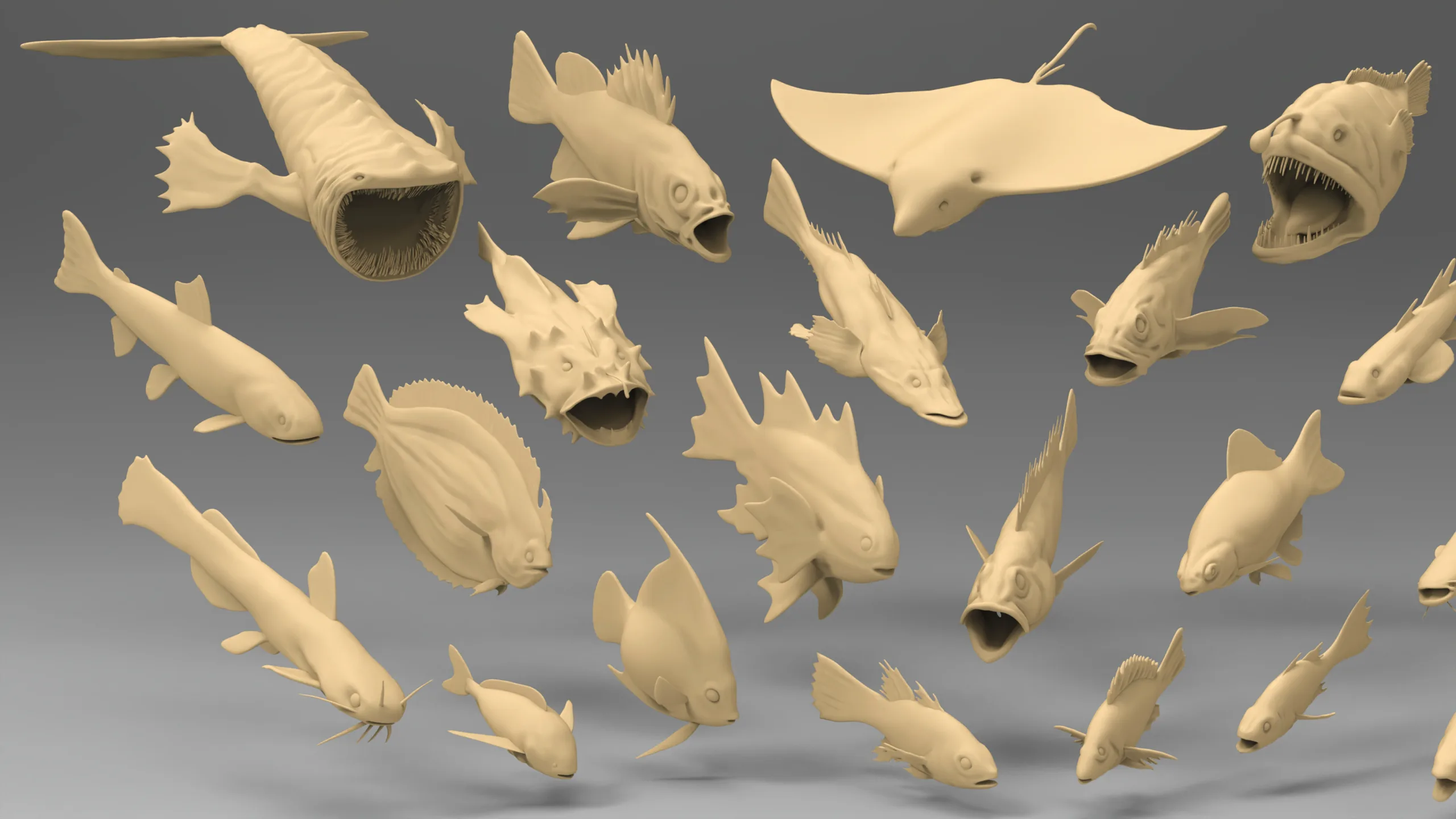 25 Basemesh fish collection 2