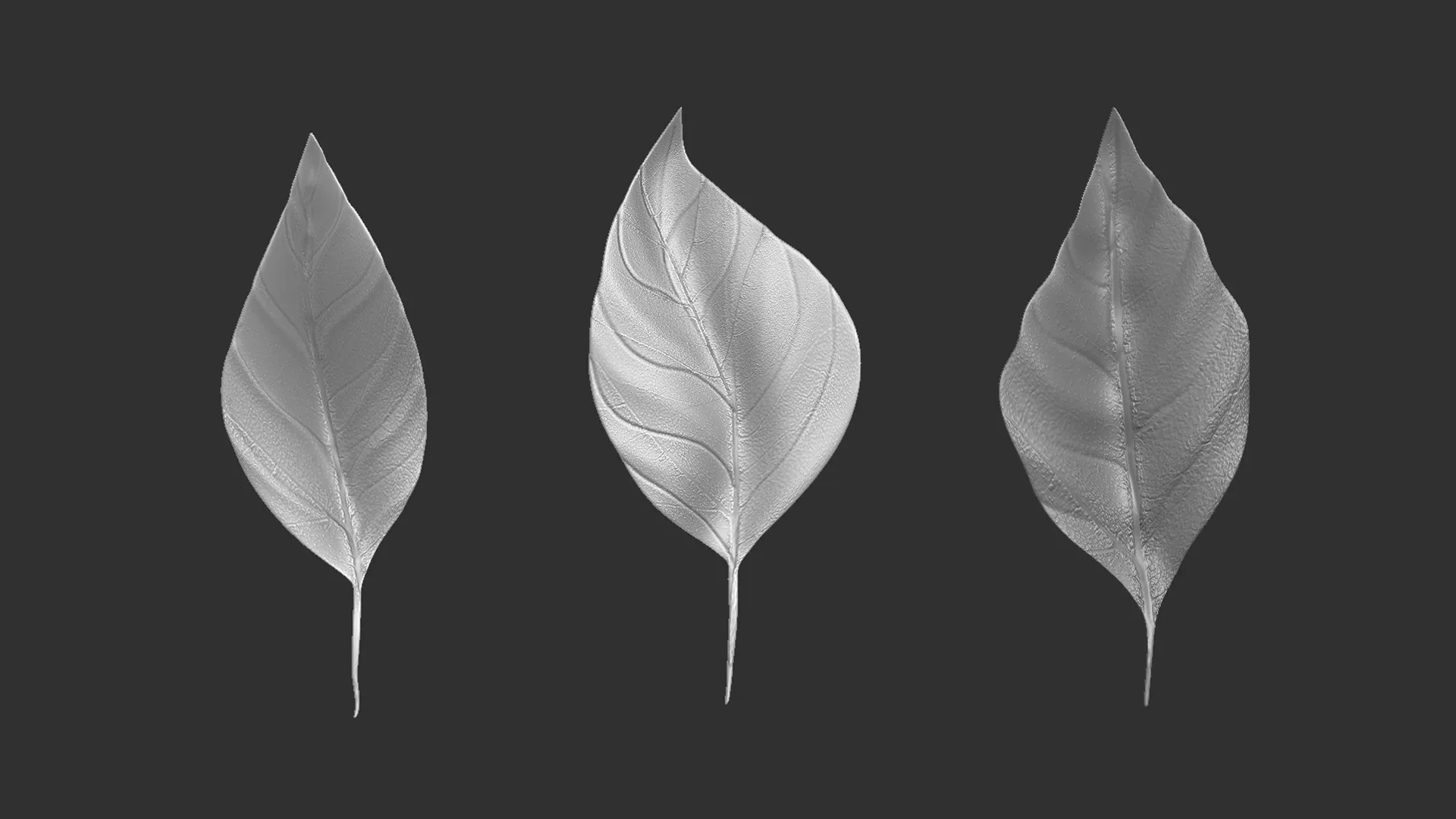 14 high-poly leafs and branches Zbrush IMM brush set.