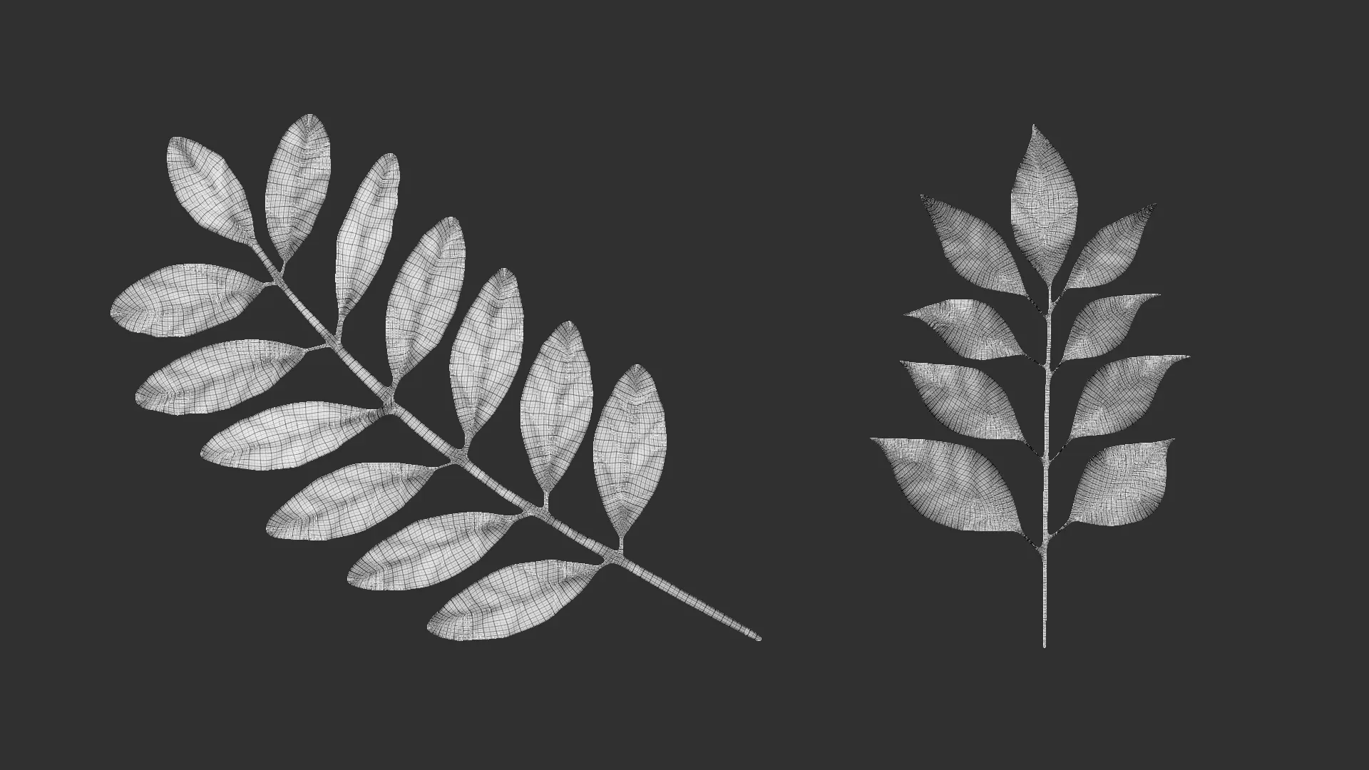 14 high-poly leafs and branches Zbrush IMM brush set.