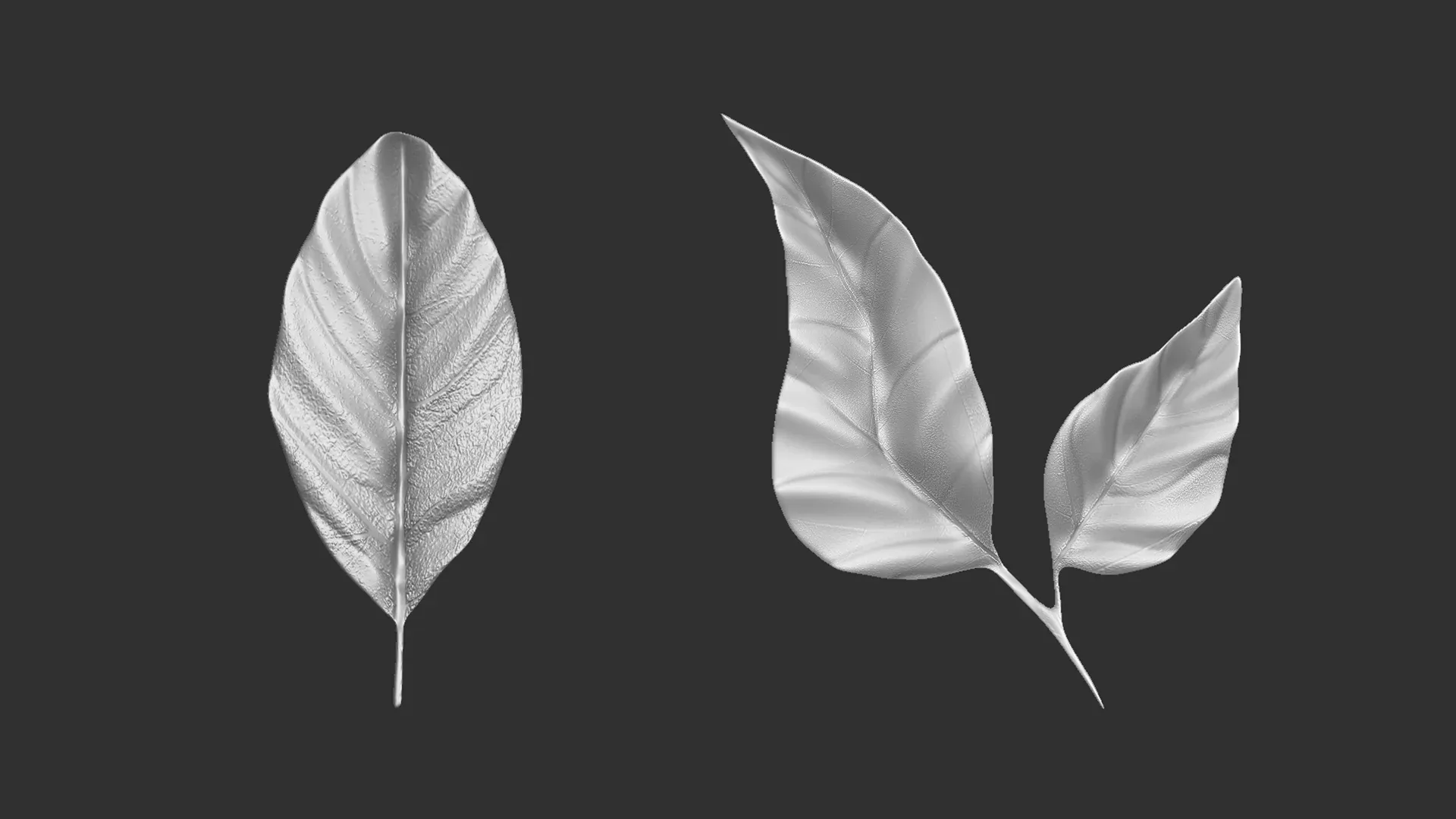 14 high-poly leafs and branches Zbrush IMM brush set.