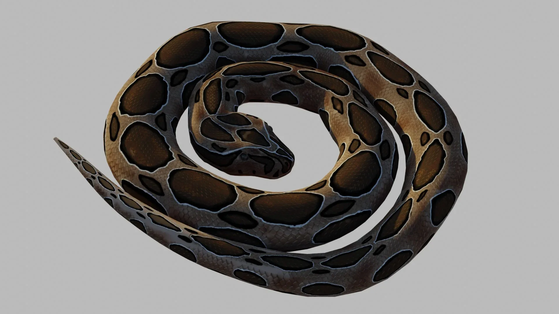 Russel's Viper - Low Poly - Game Ready - Rigged