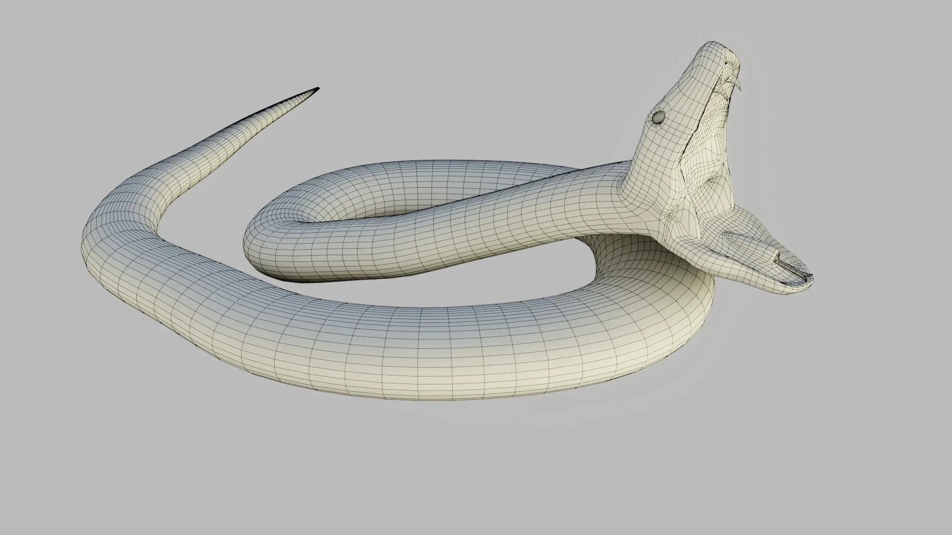 Russel's Viper - Low Poly - Game Ready - Rigged