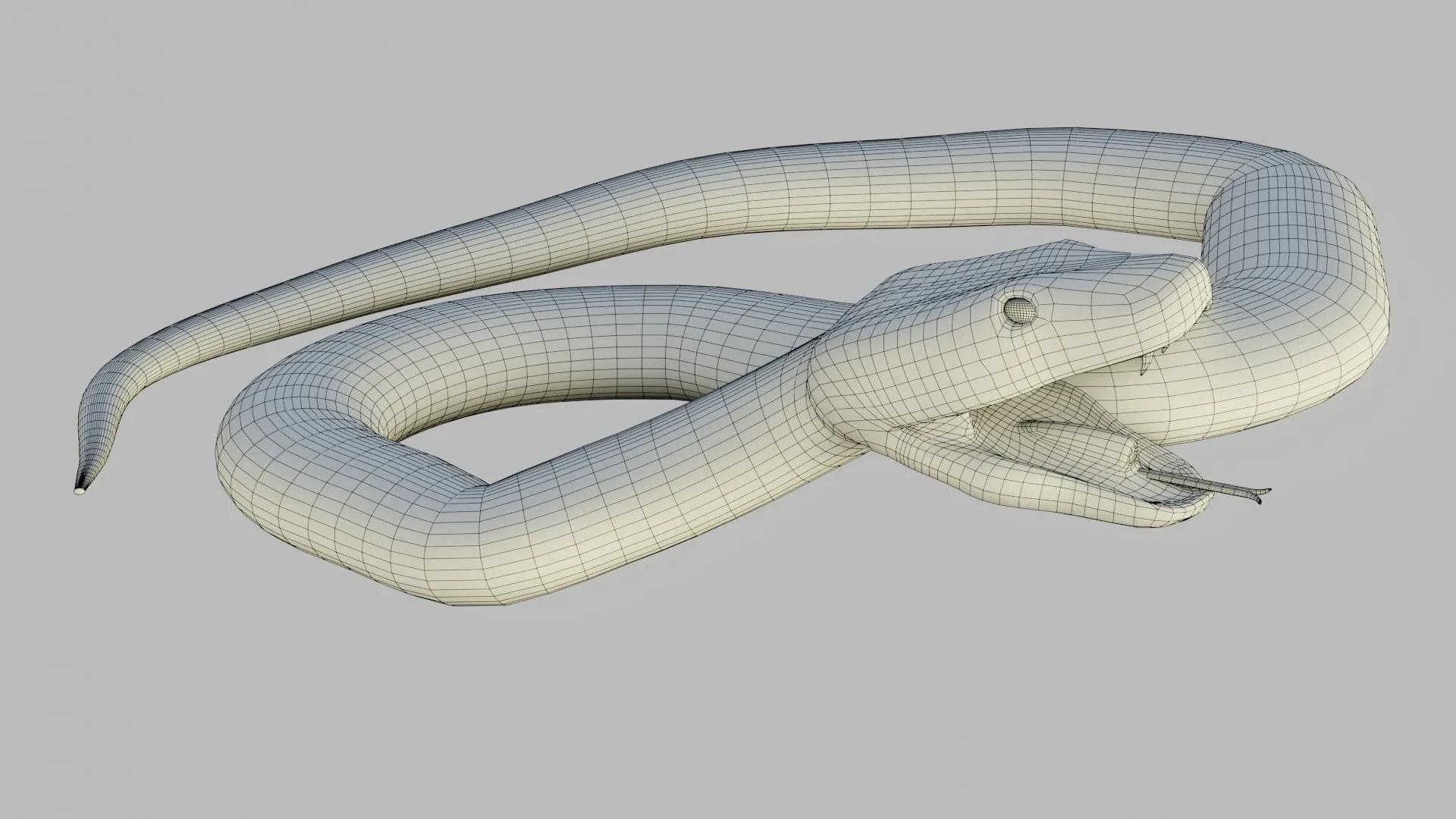 Russel's Viper - Low Poly - Game Ready - Rigged