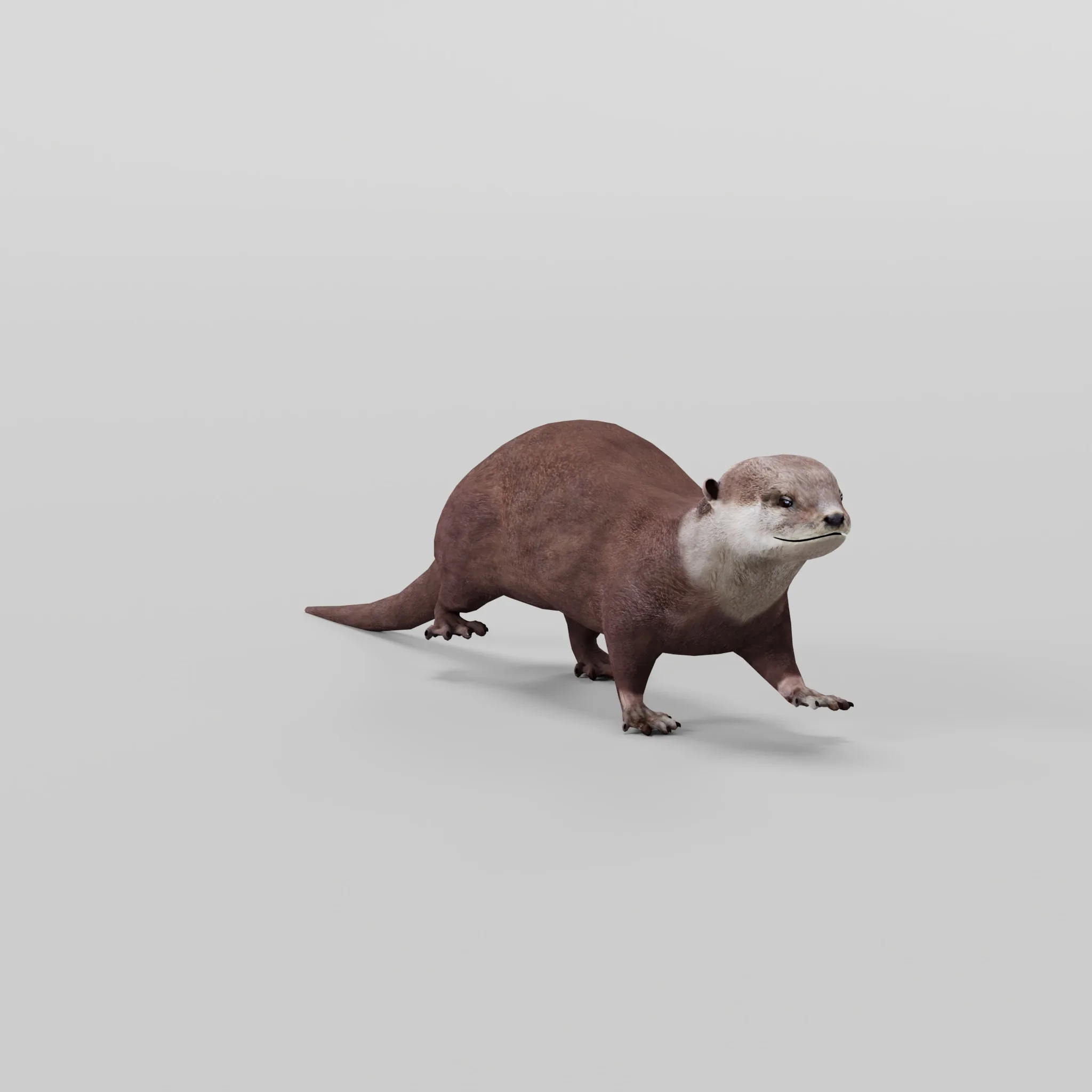 Otter Lowpoly