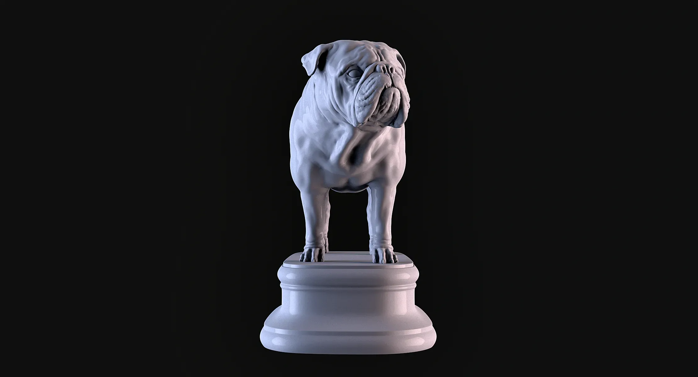 English Bulldog