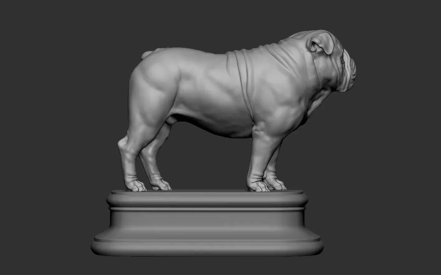 English Bulldog