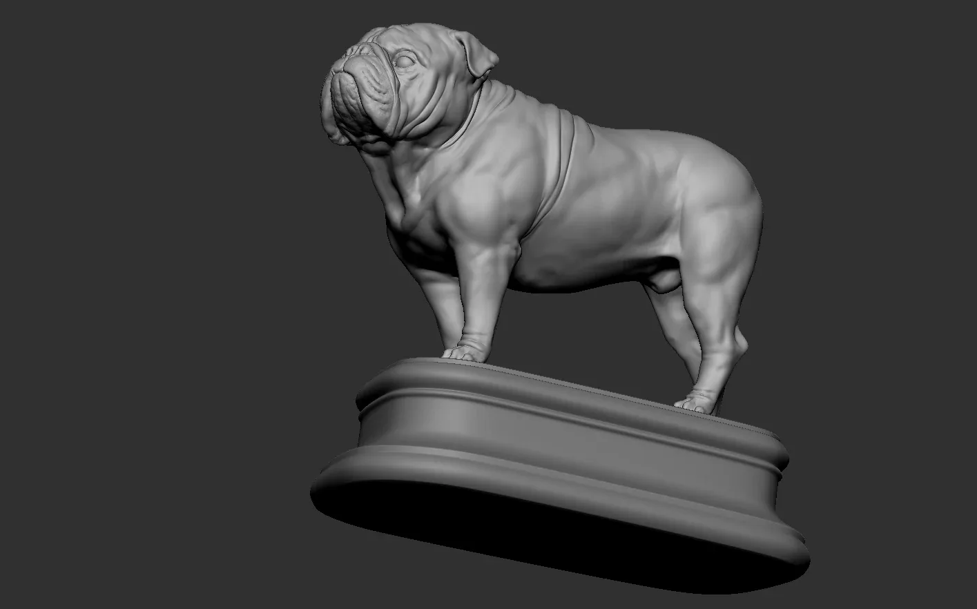 English Bulldog