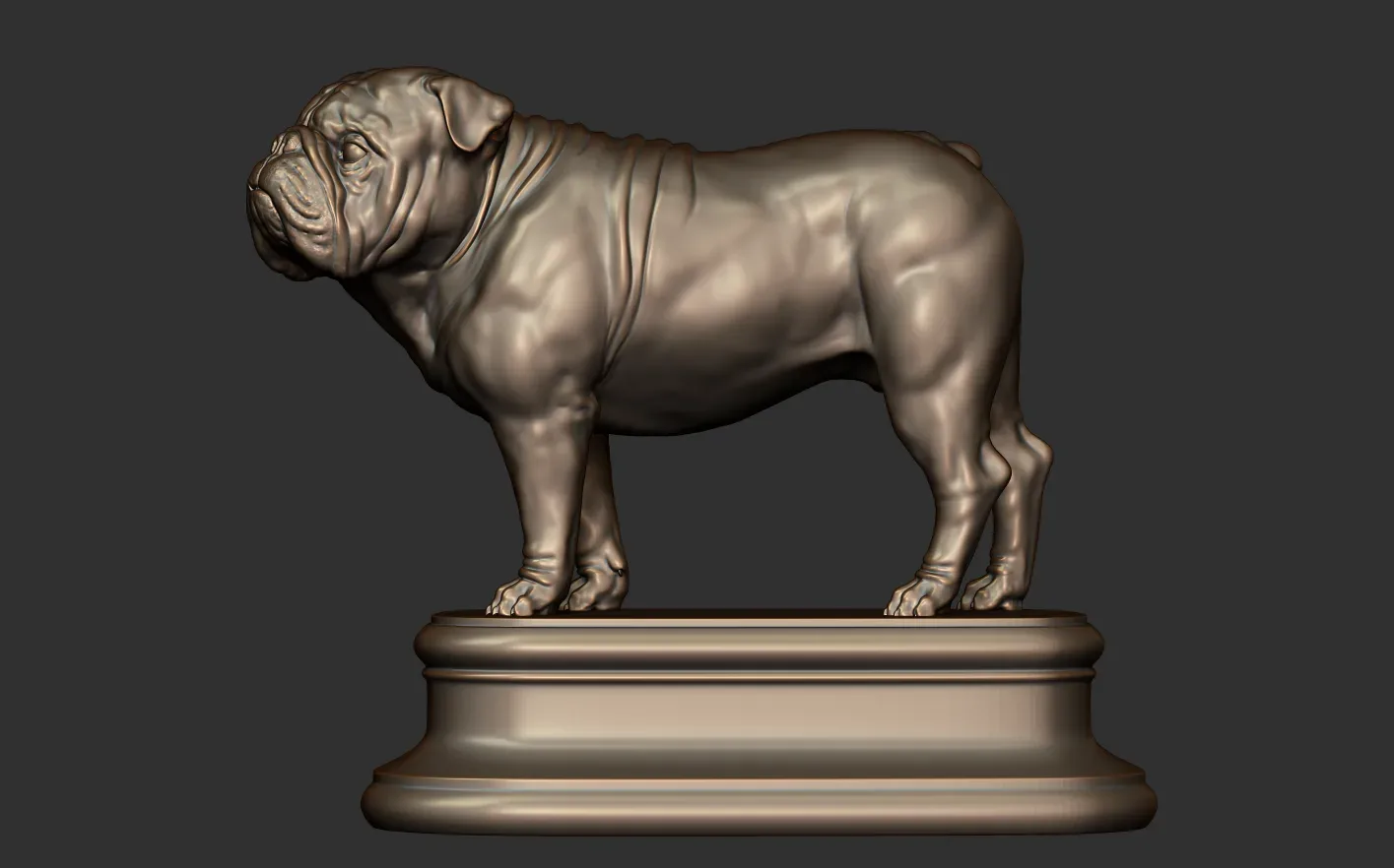 English Bulldog