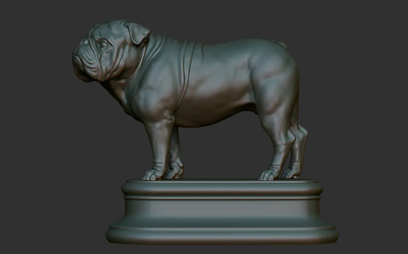 English Bulldog