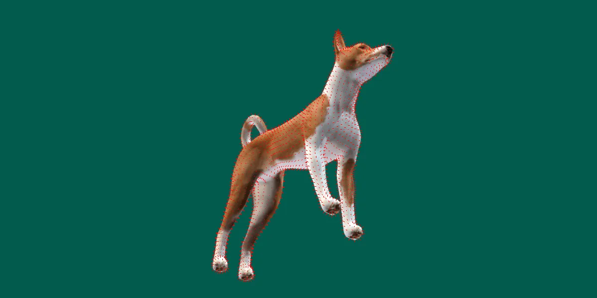 Basenji Dog Game Ready Lowpoly