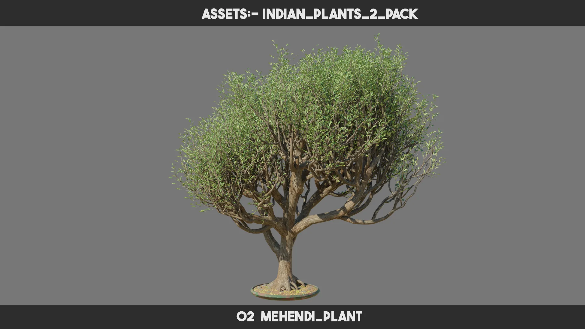 Indian Plants 2 PACK FlippedNormals