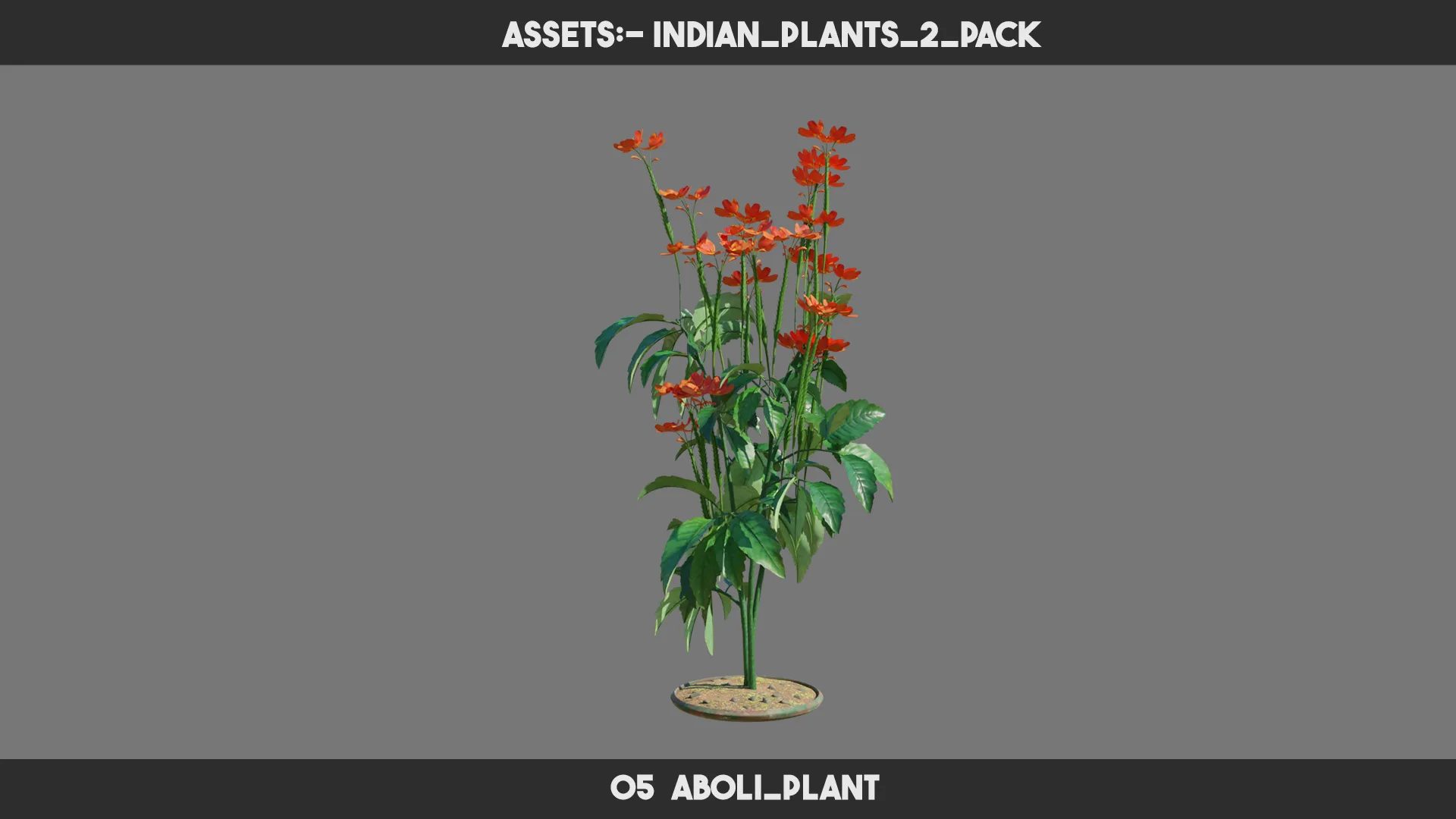 Indian Plants 2 PACK
