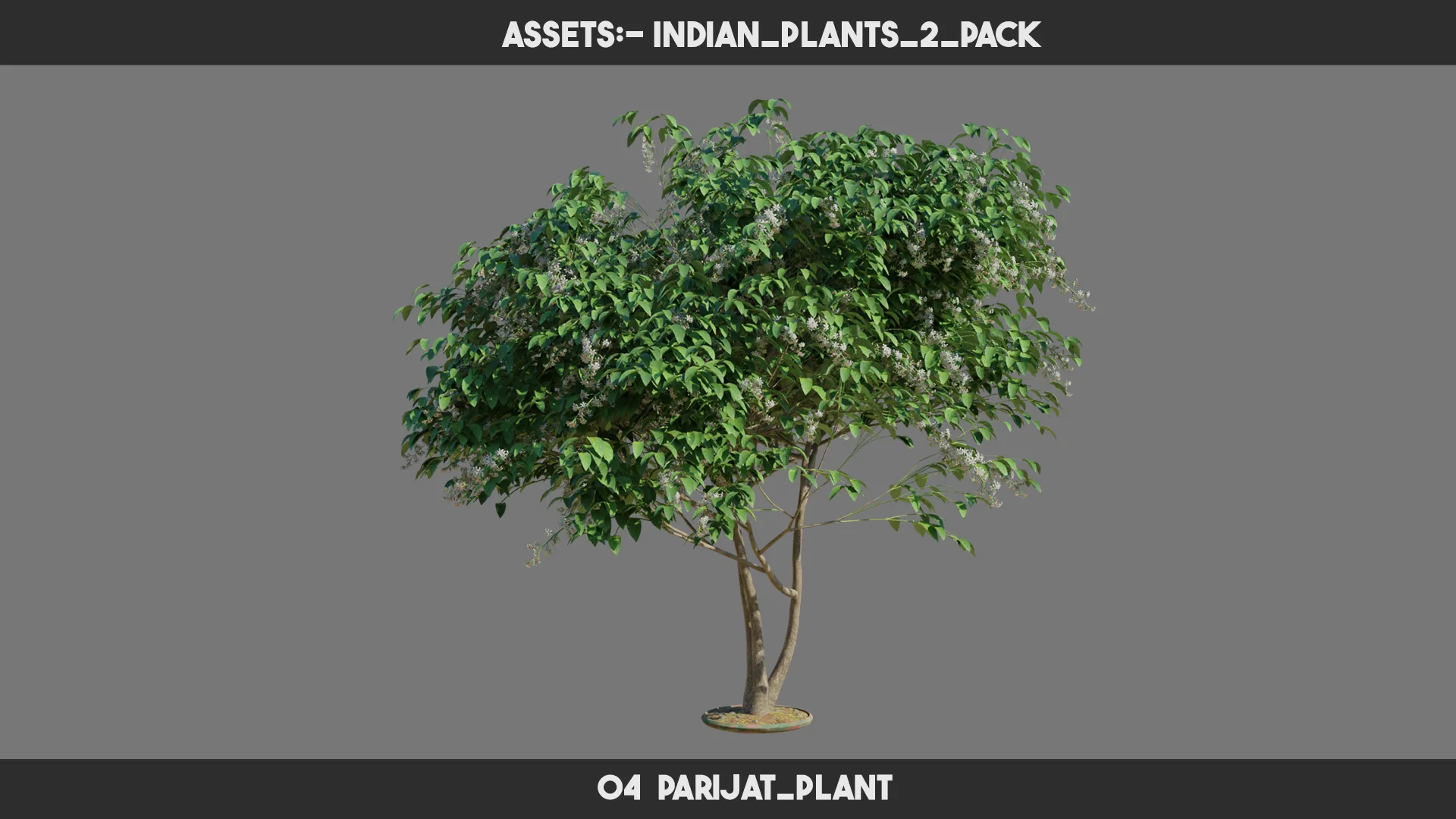 Indian Plants 2 PACK