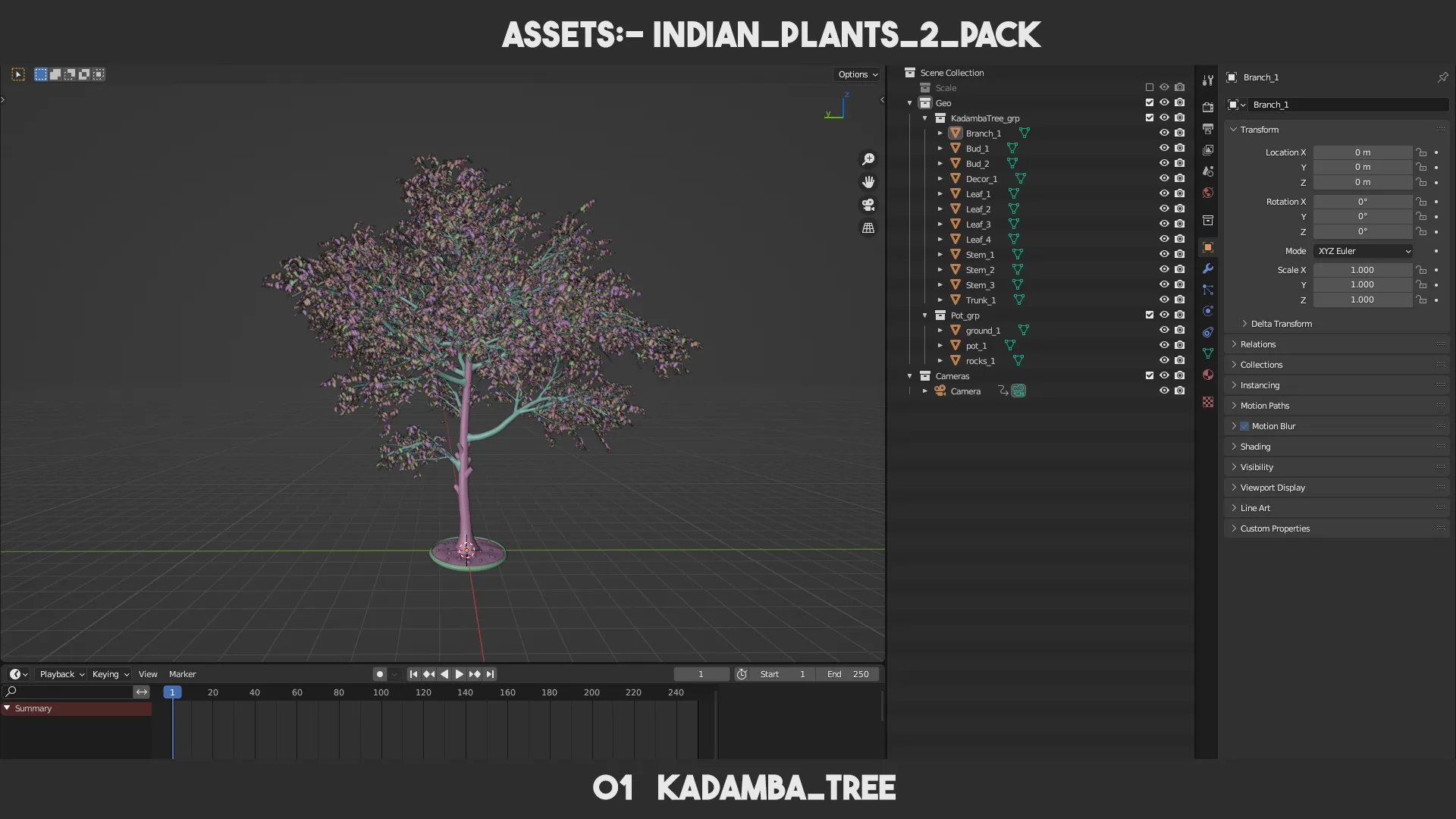 Indian Plants 2 PACK