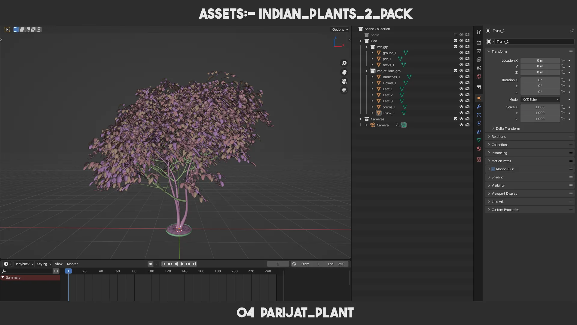 Indian Plants 2 PACK