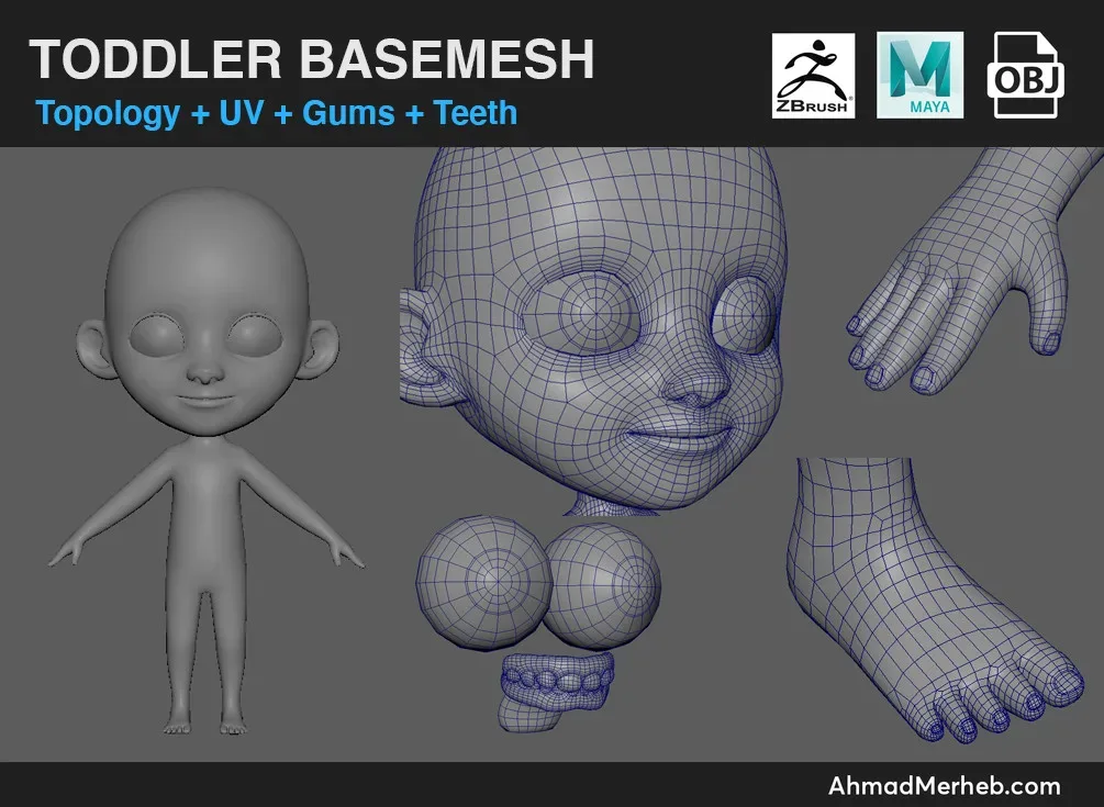 Toddler Kid Base Mesh