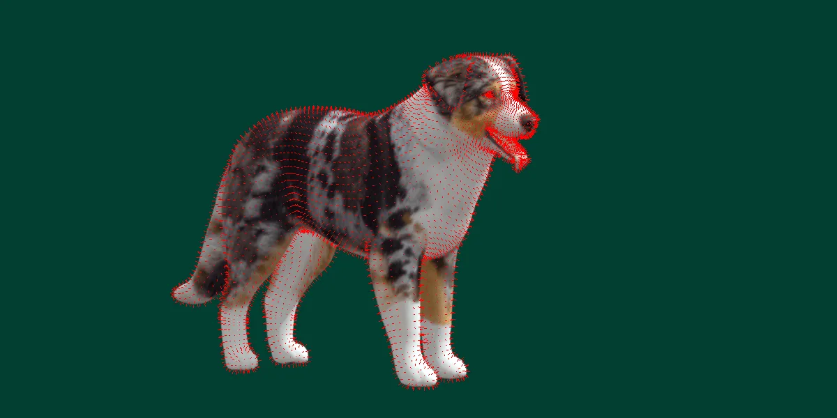 Australian Shepherd