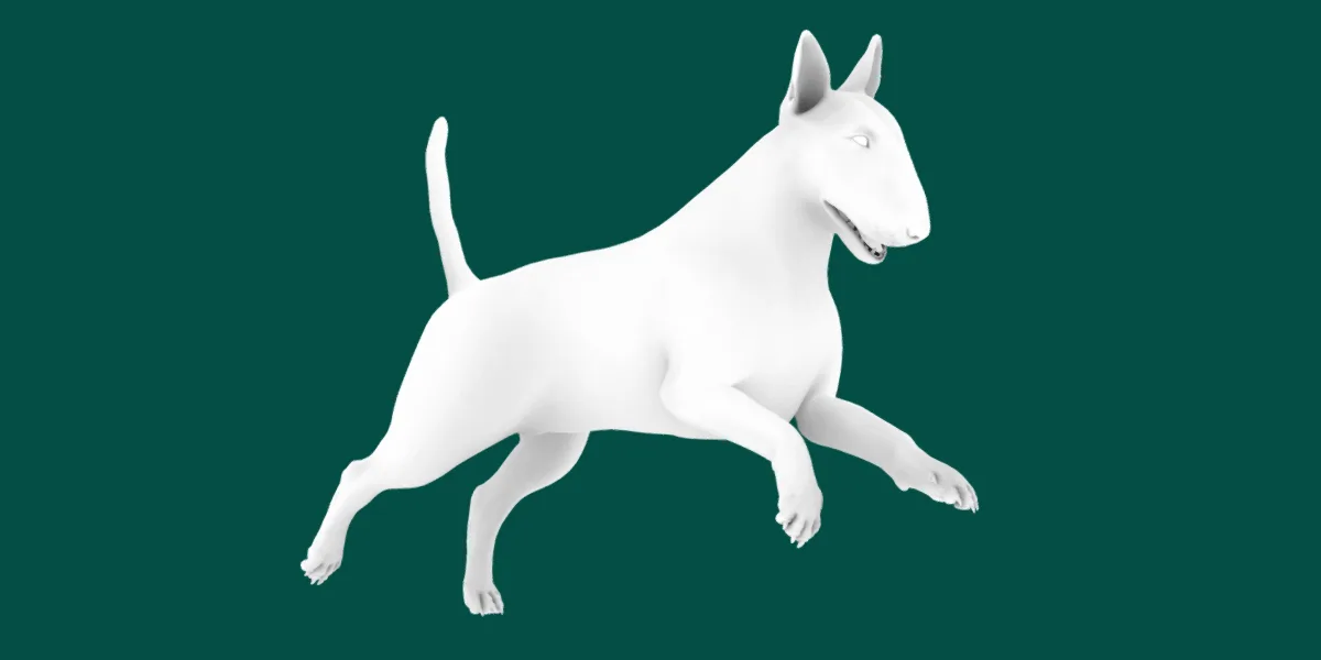 Bull Terrier Dog