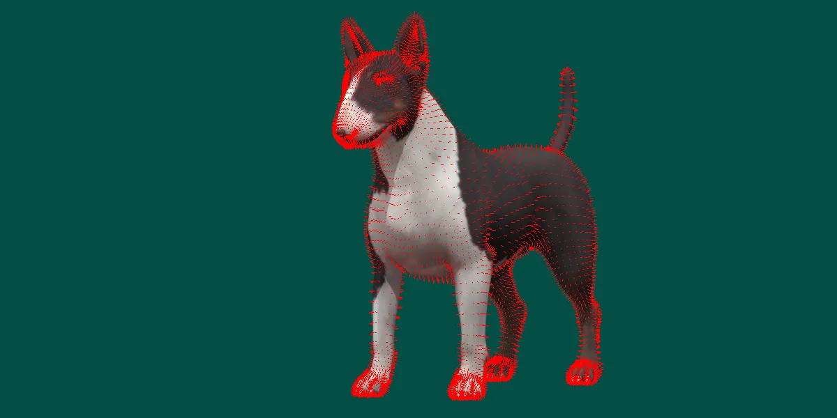 Bull Terrier Dog